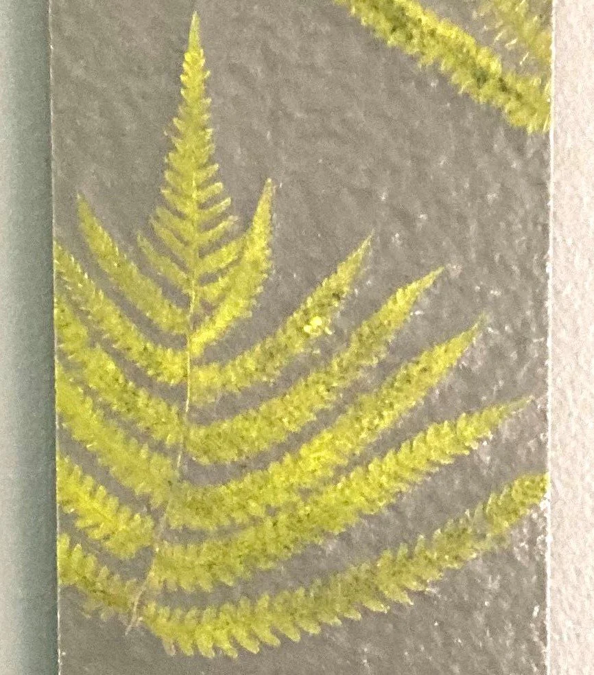 Fused Glass - Organic Burnout