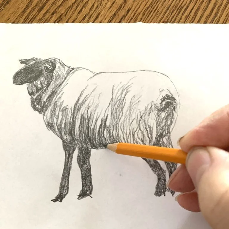 Drawing for Beginners