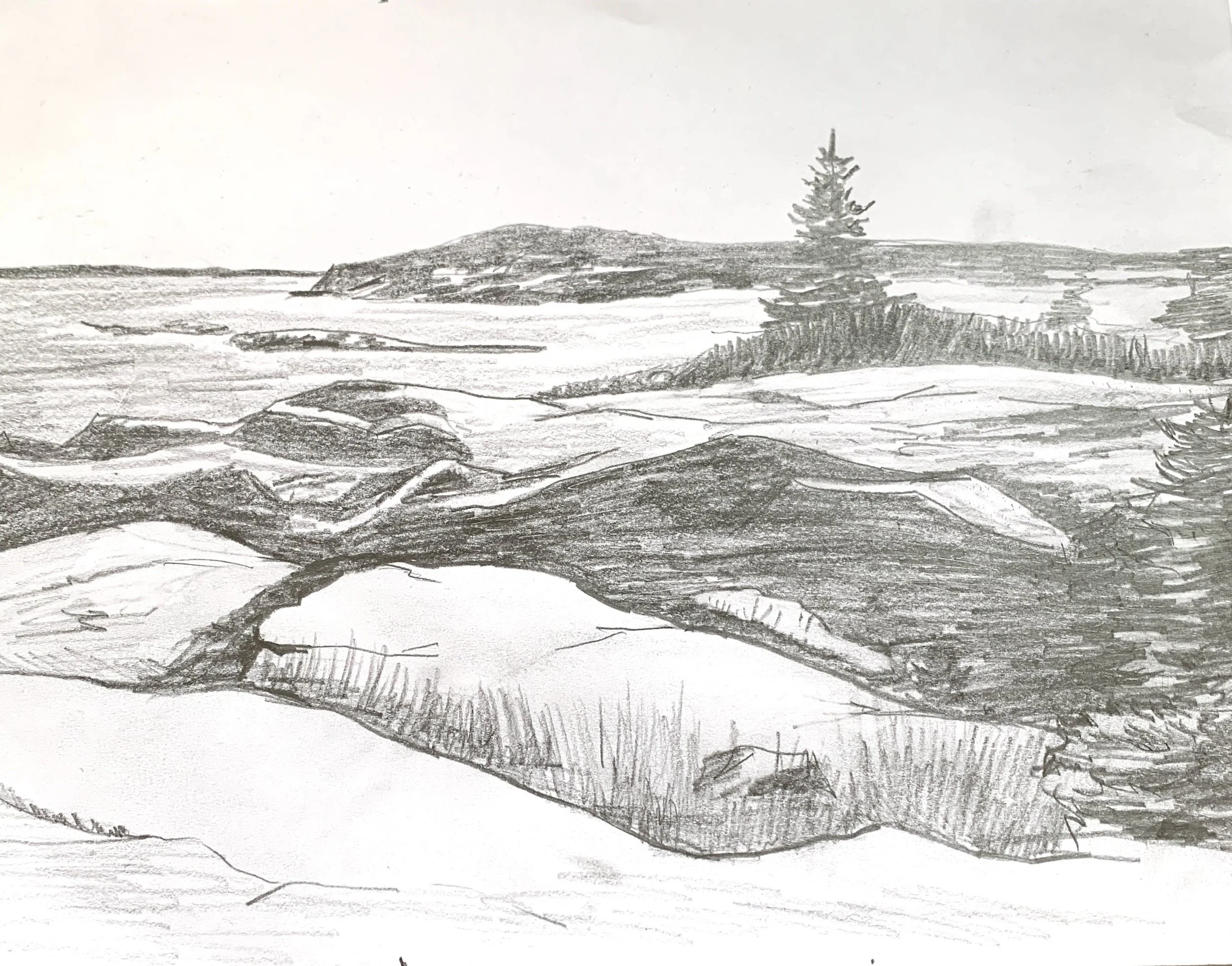 Drawing with Shading and Value