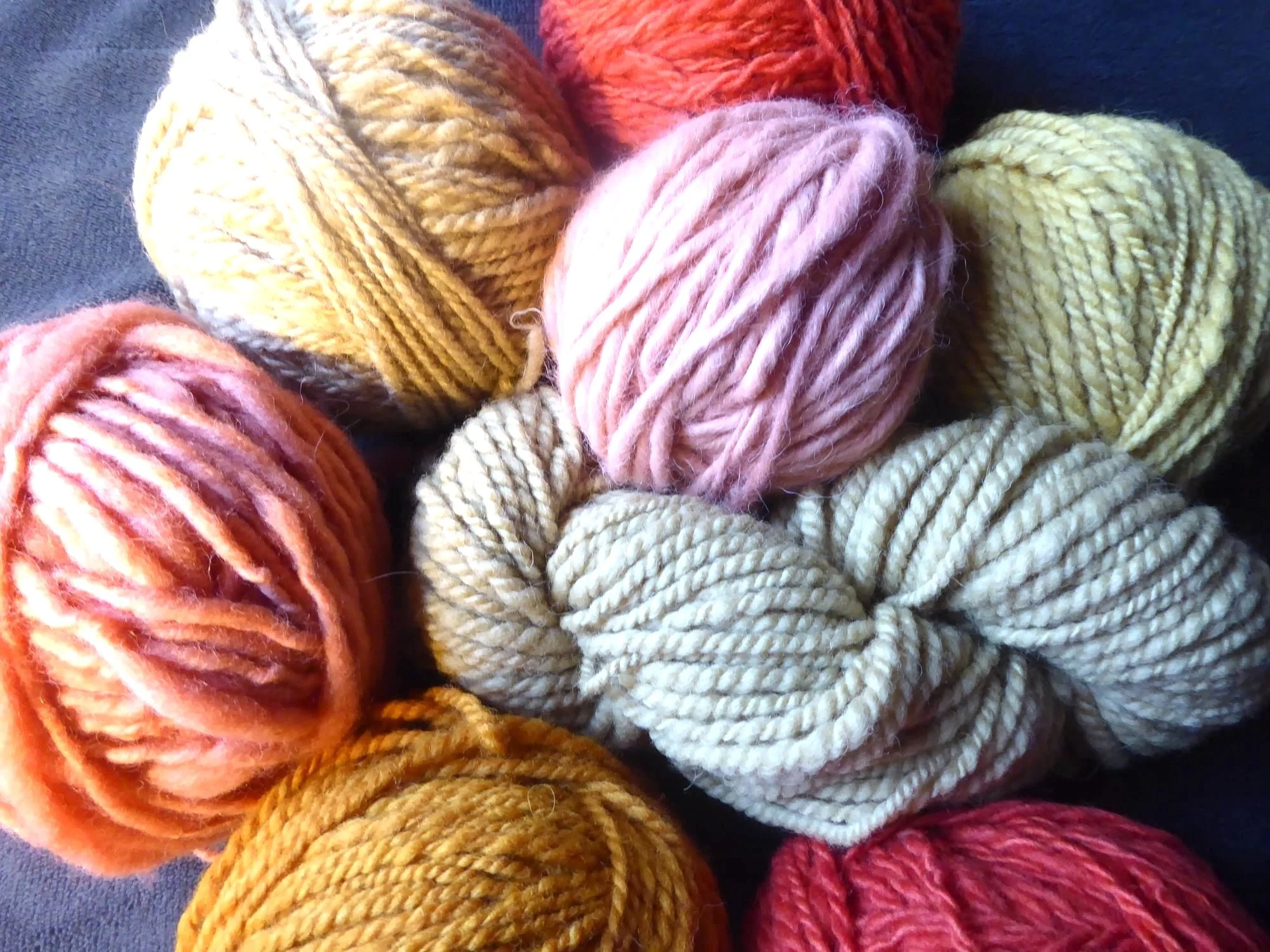 Exploring Nature’s Colors