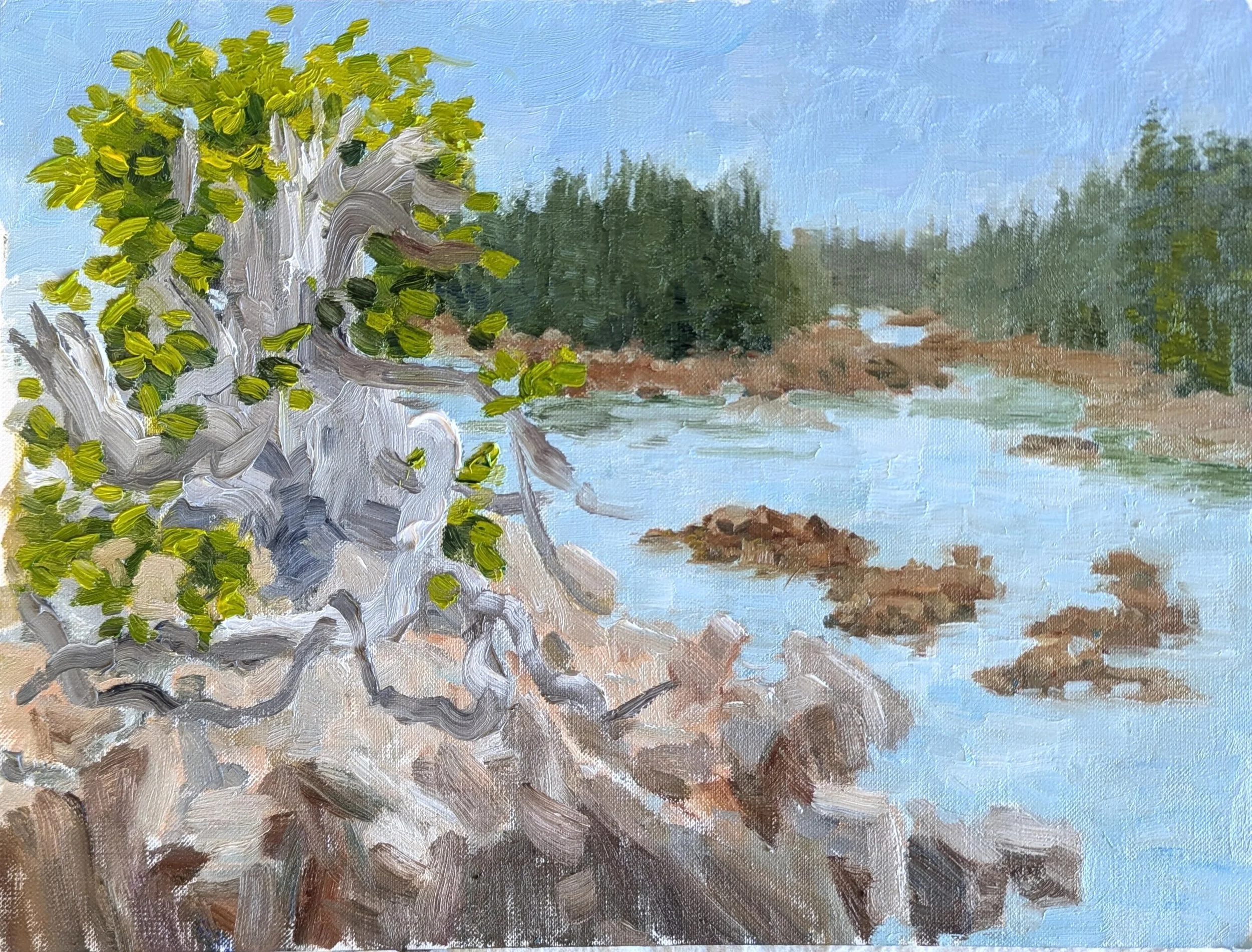 Bring Your Challenges!