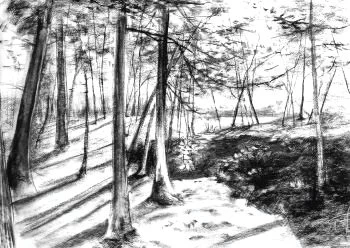 A Playdate with Charcoal!
