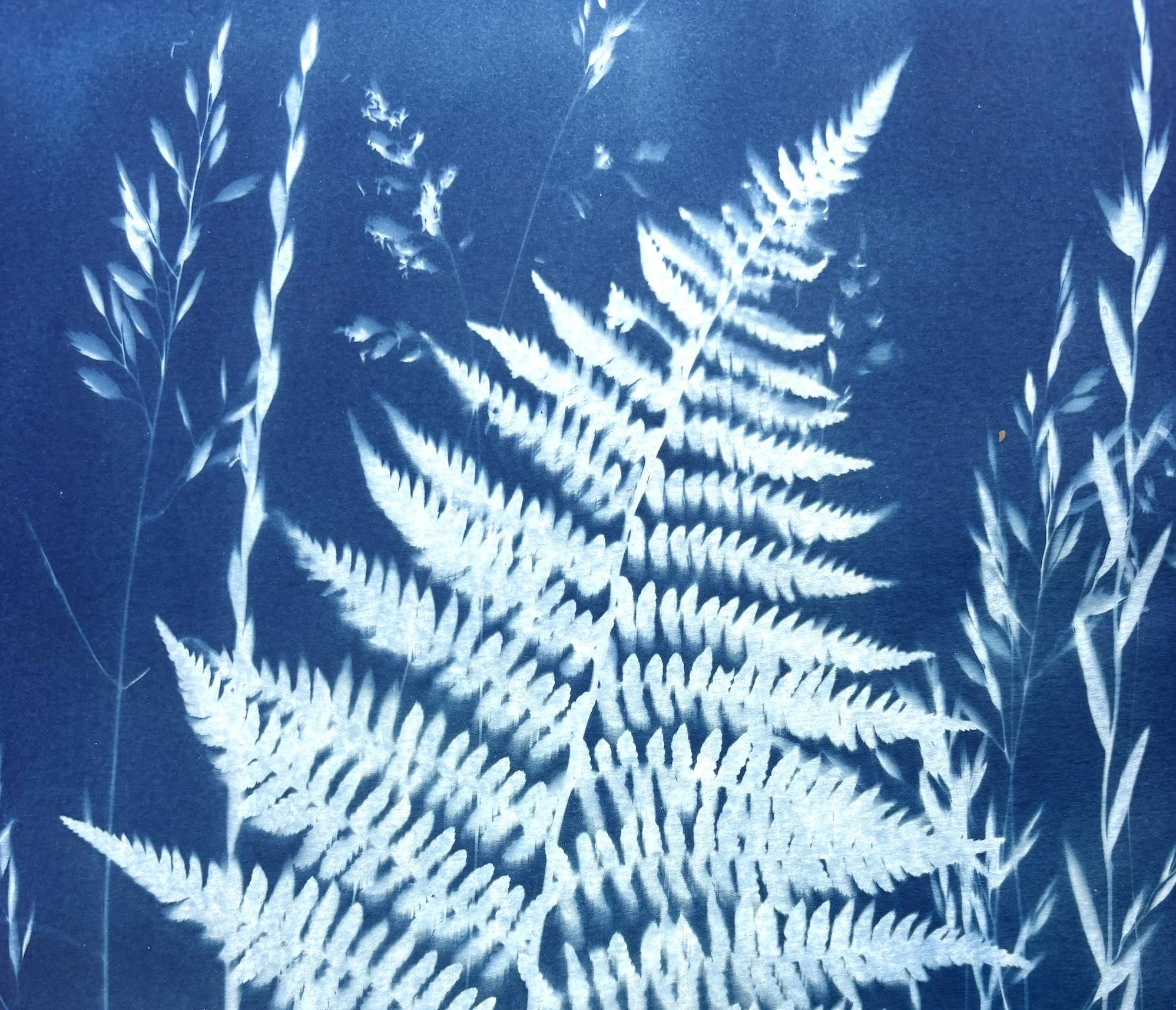 Cyanotype Sun Printing