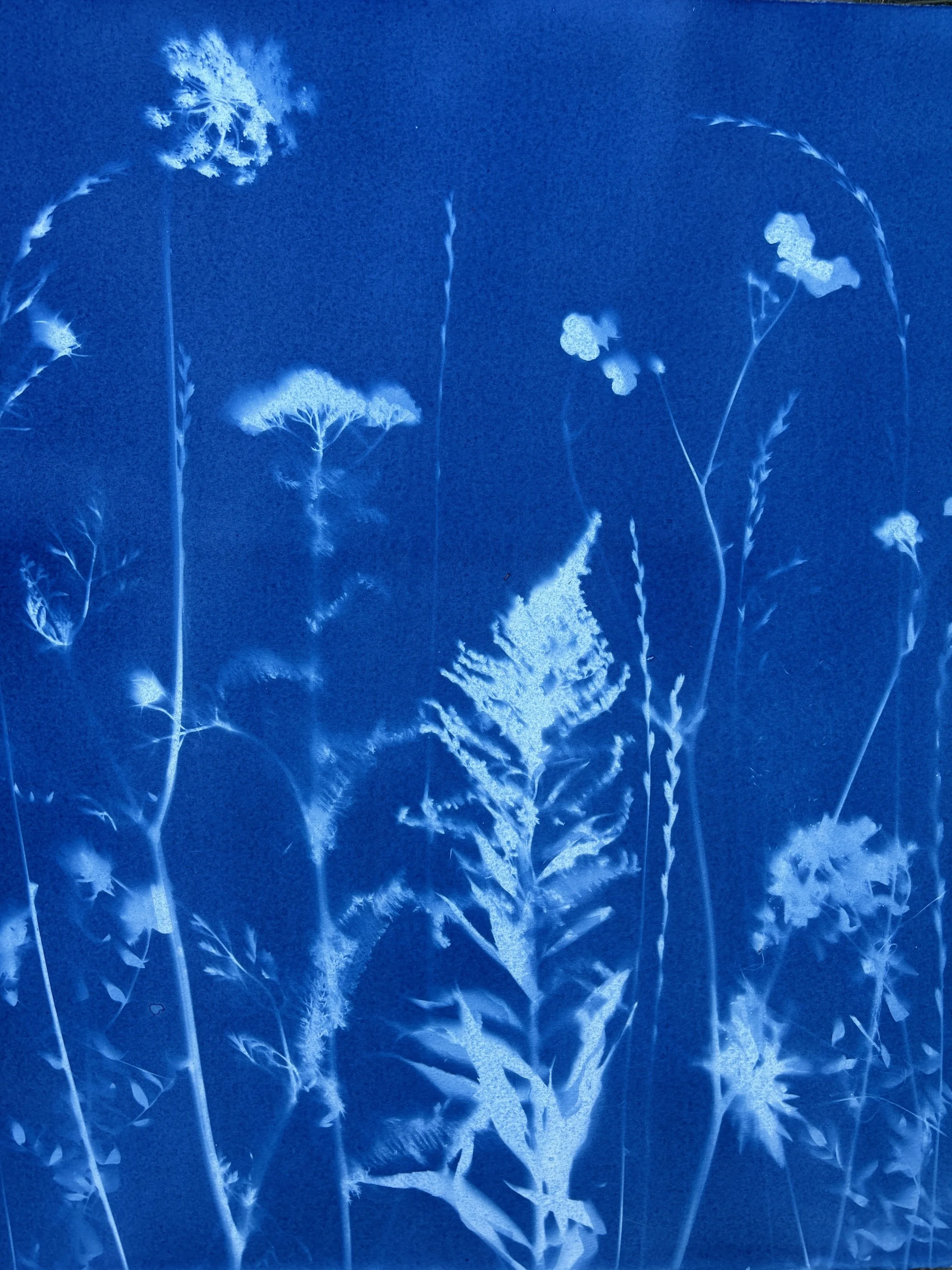 Katama Murray_Promo Image - Katama Murray.jpg