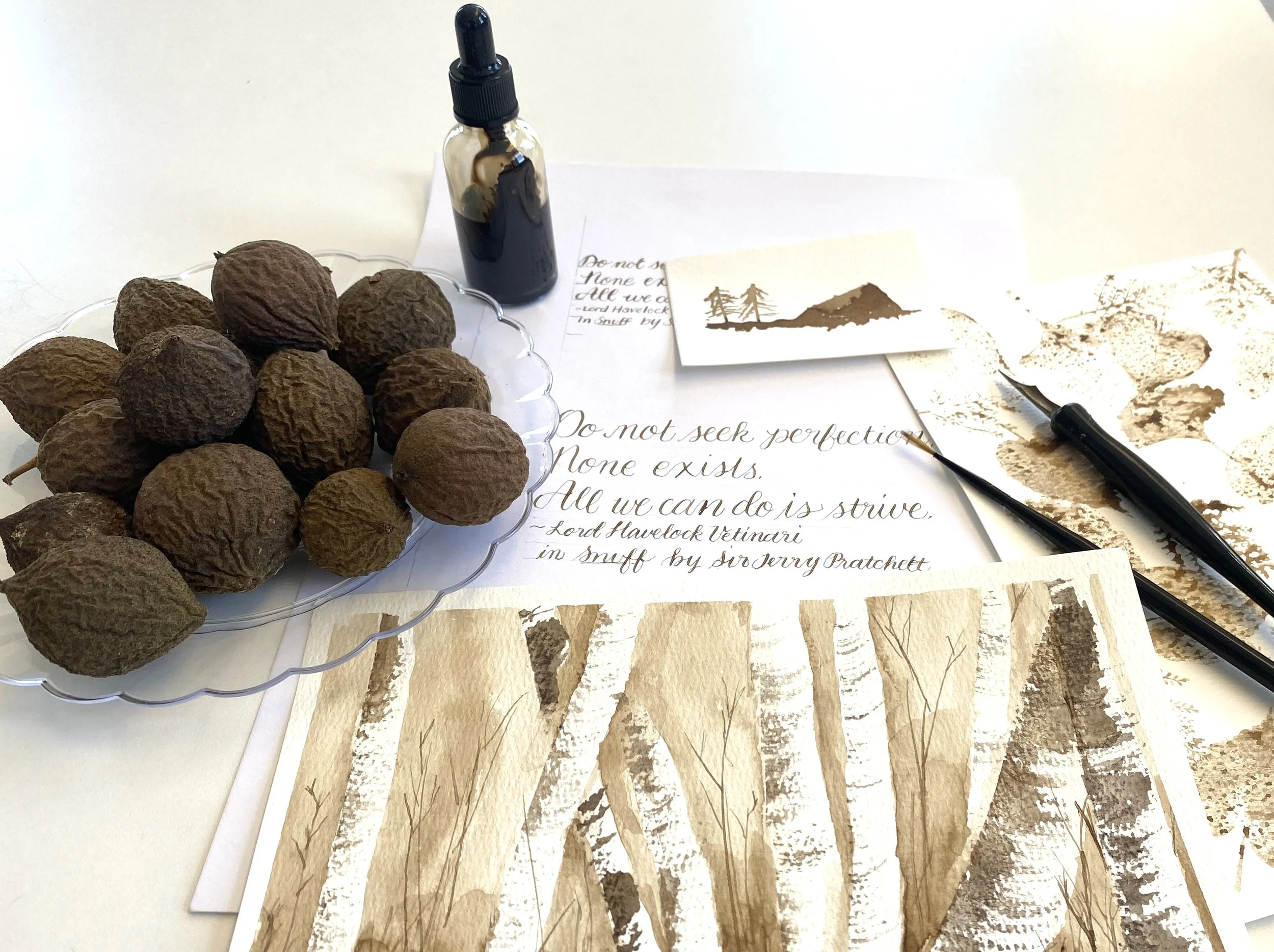 Black Walnut: Making Ink to Mark Making