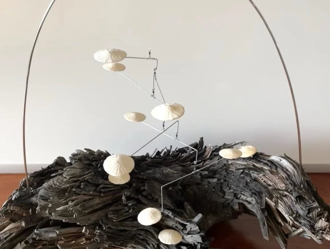 Kinetic Sculptures for Beachcombers