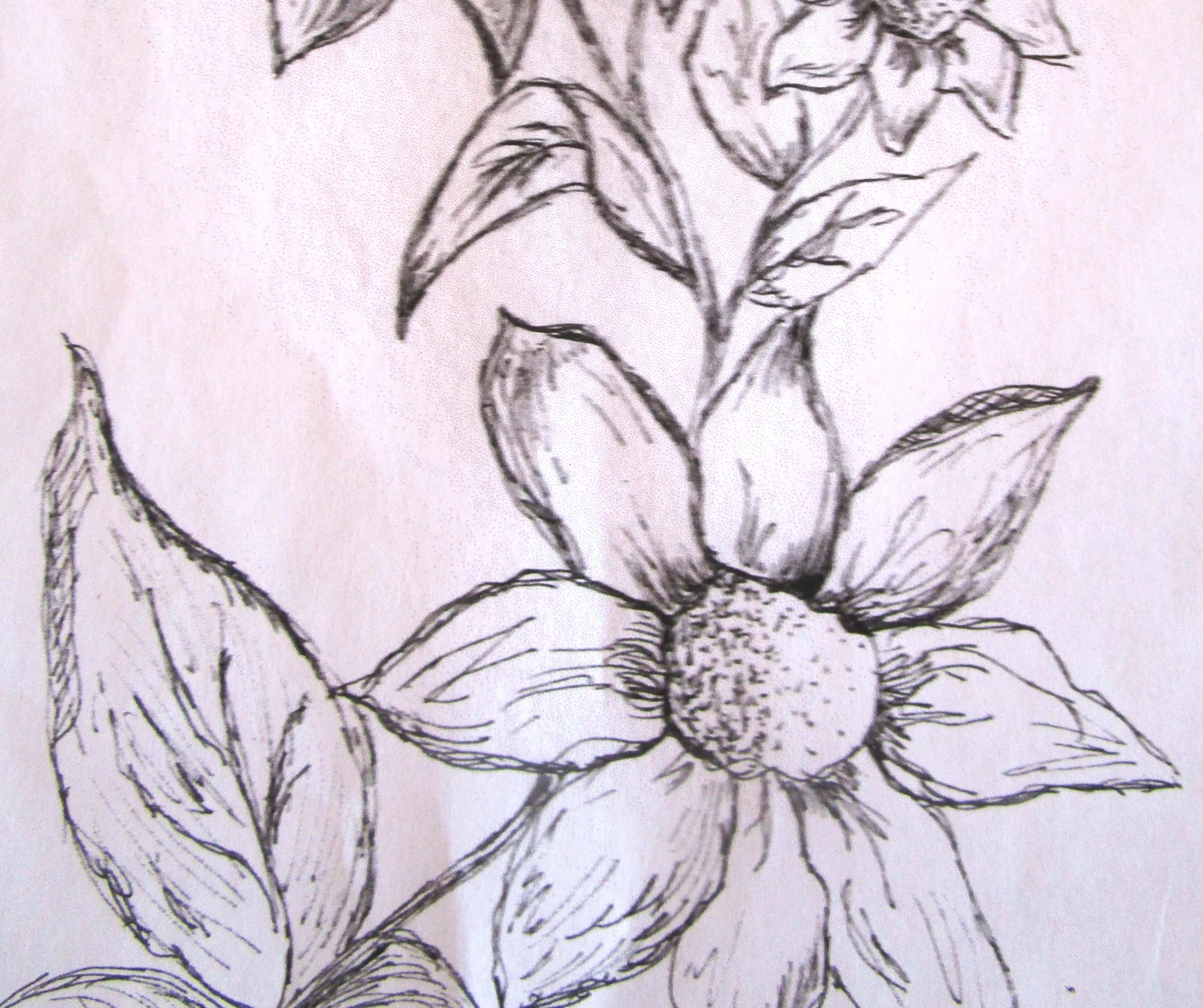 Botanical Drawing
