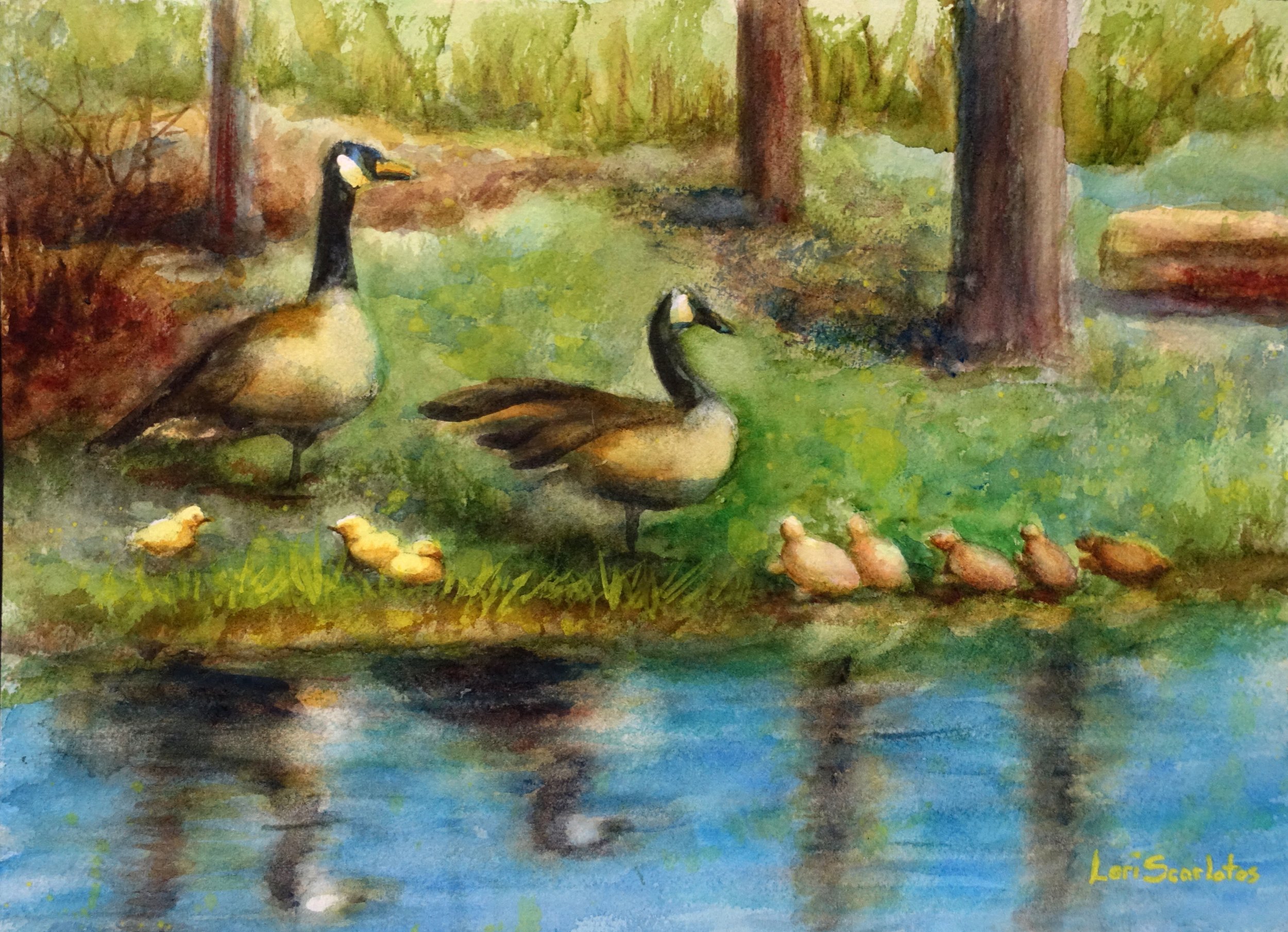Scarlatos,MaineLandscapes,RothPondResidents - Lori Scarlatos.jpeg