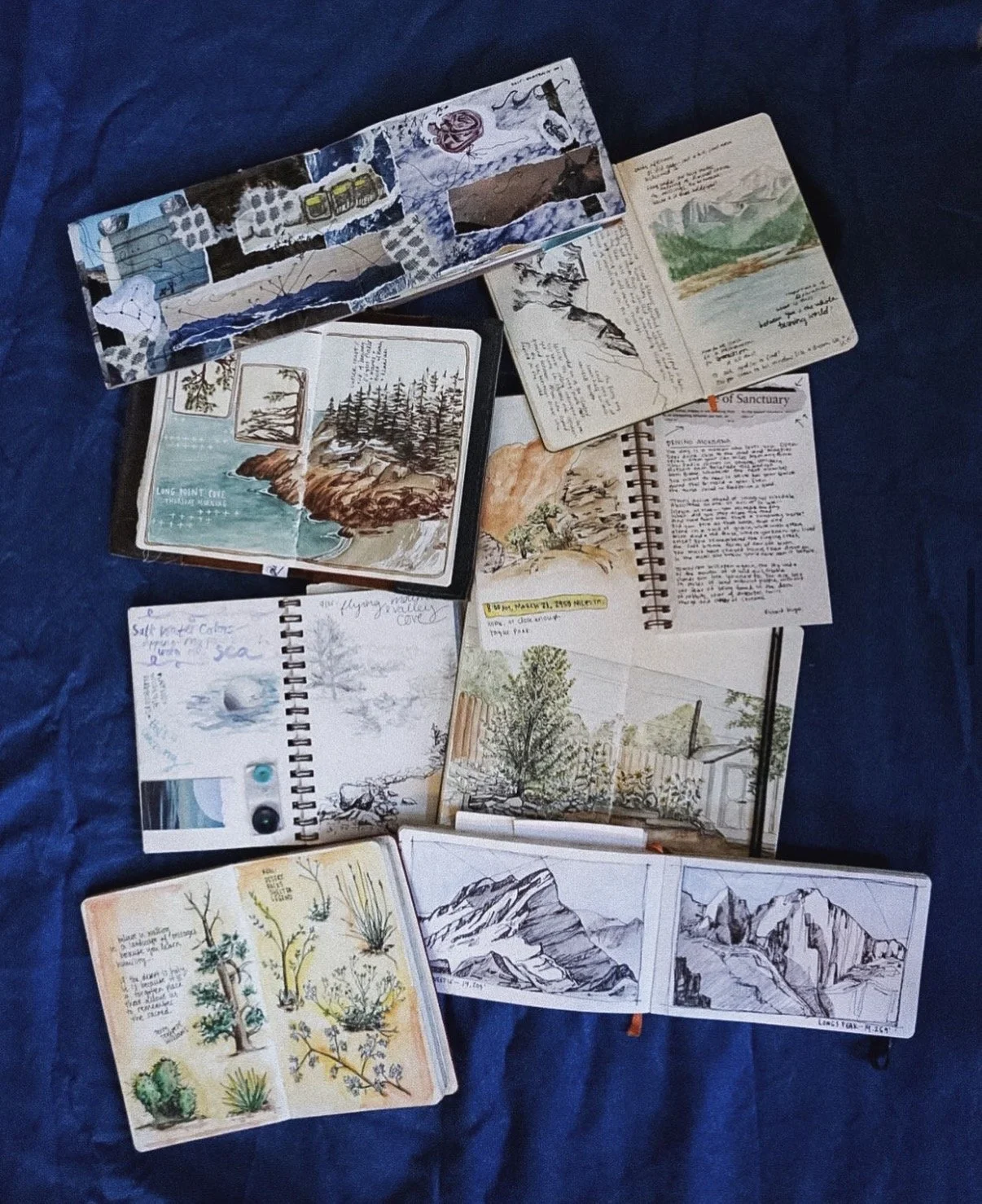 Nature Journaling - Emma Murray (1).jpg