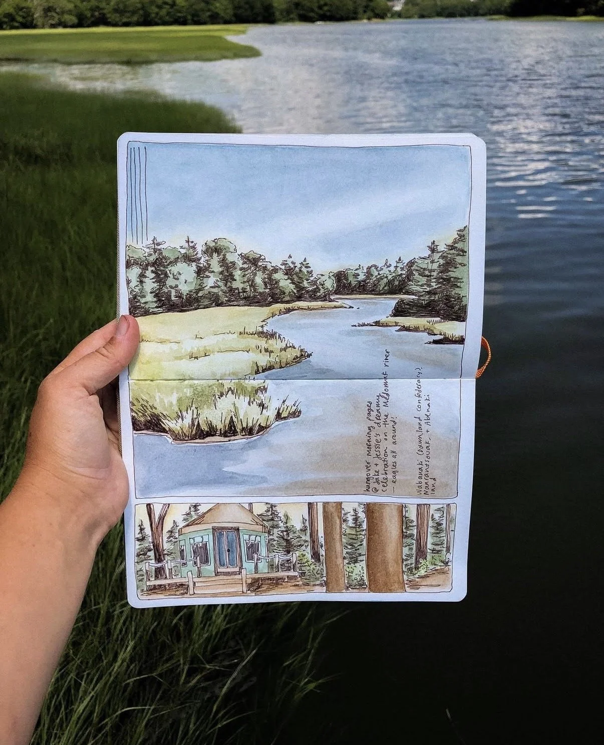 Nature Journaling - Emma Murray (3).jpg