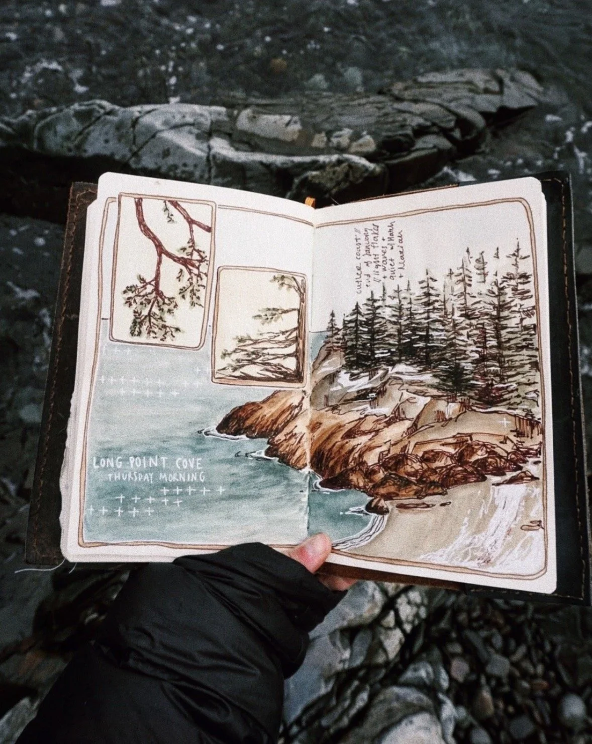 Nature Journaling - Emma Murray (4).jpg