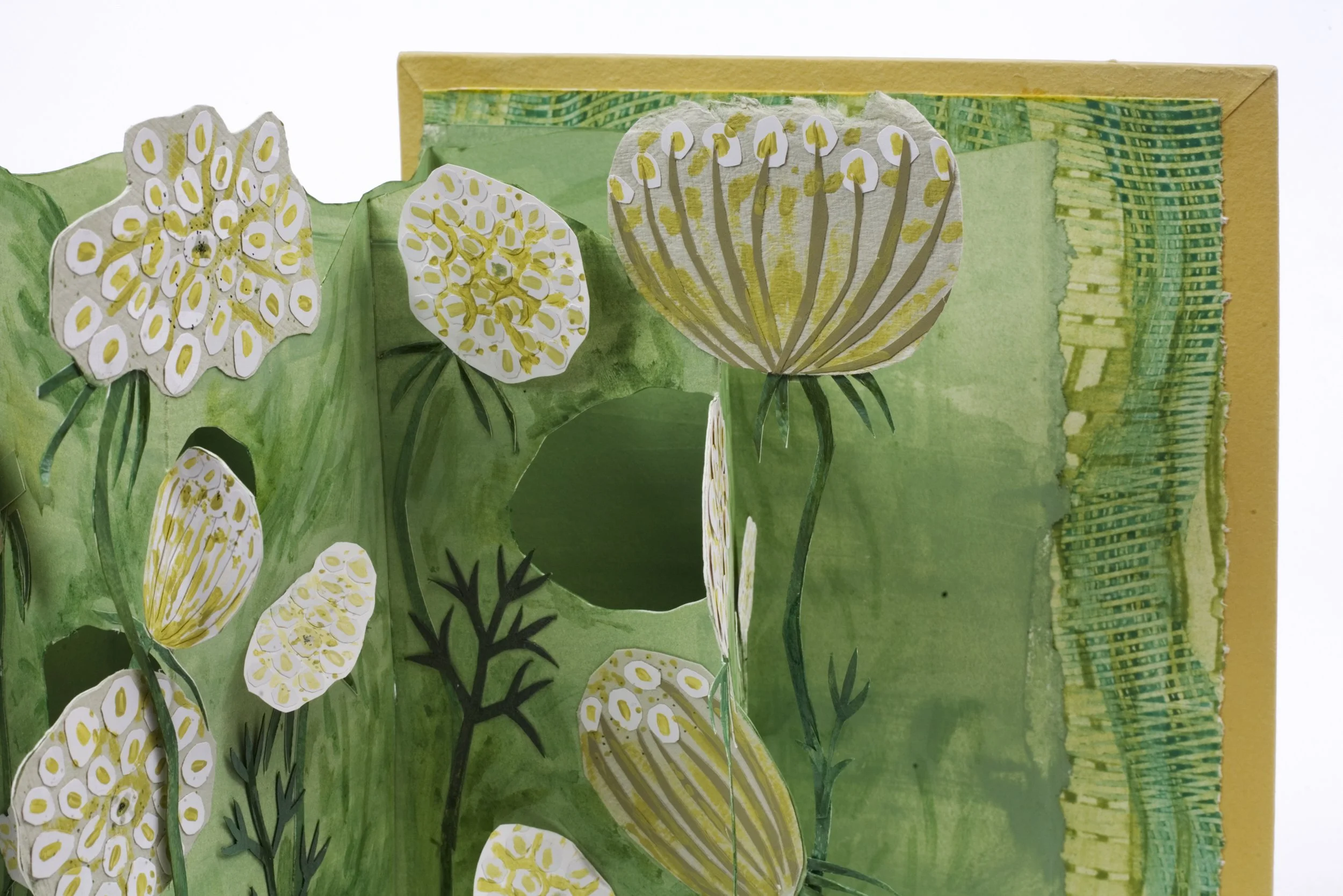 Jill Osgood