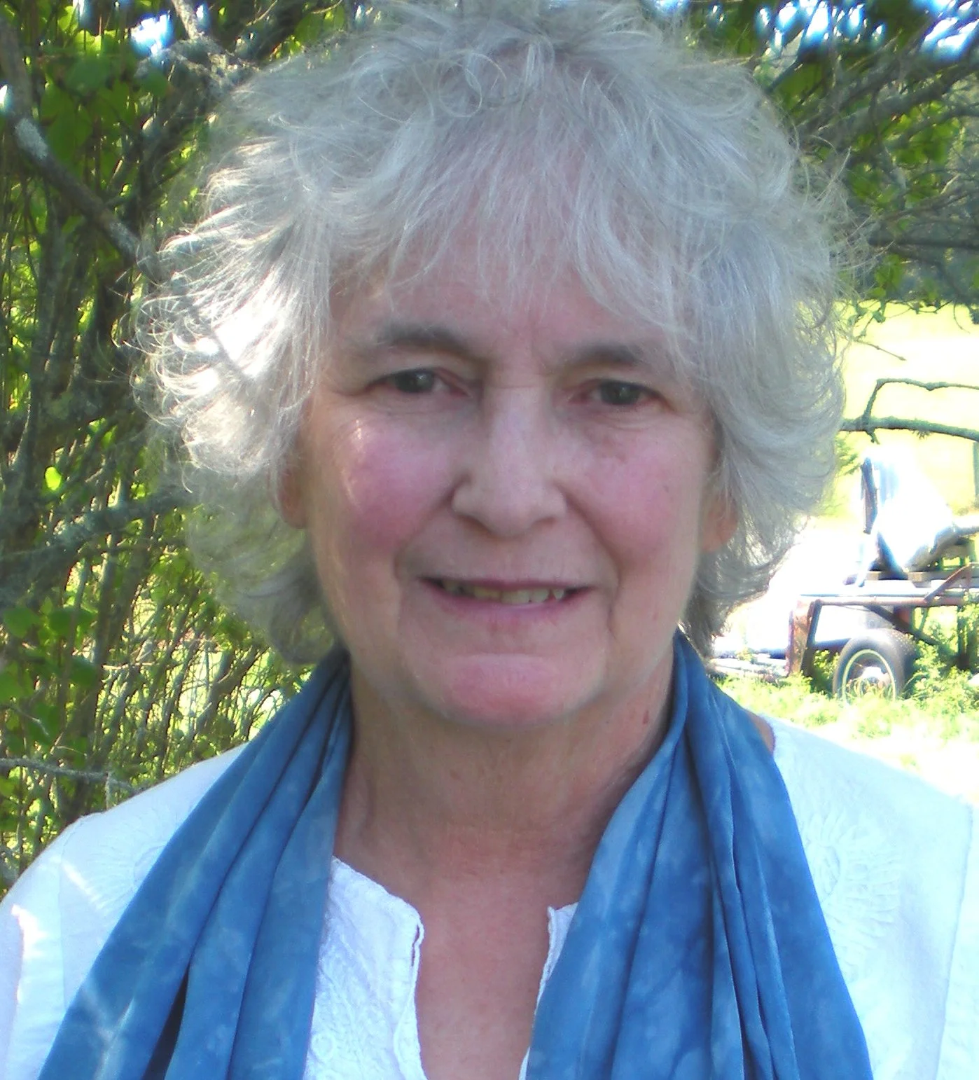 Cynthia Thayer