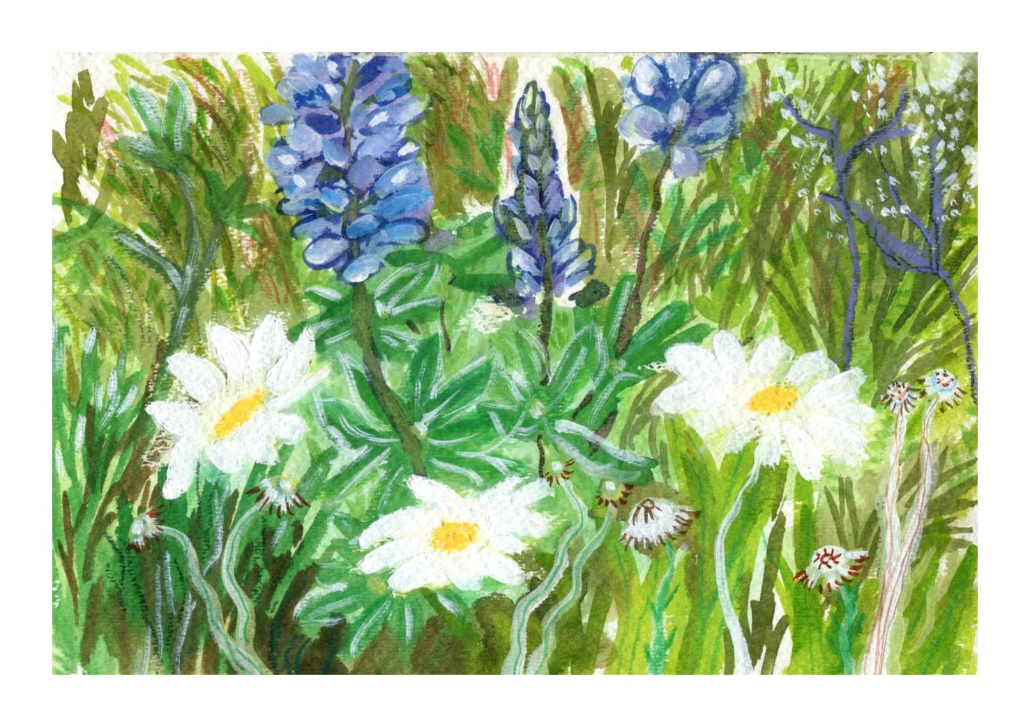 3 daisies 2_150.jpg