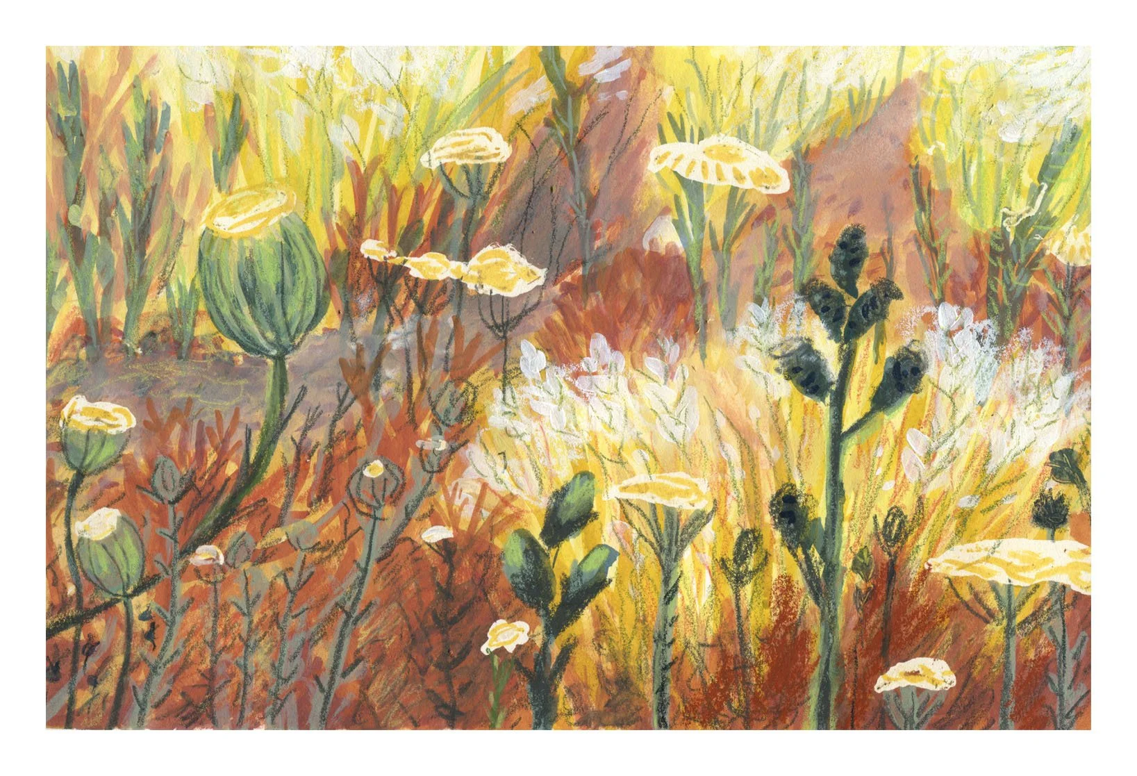 Wild in Yellow_132.jpg