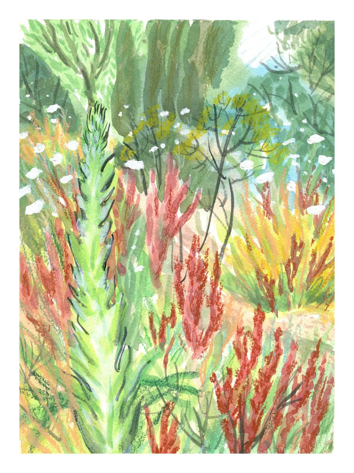 Wilderness 2_132.jpg