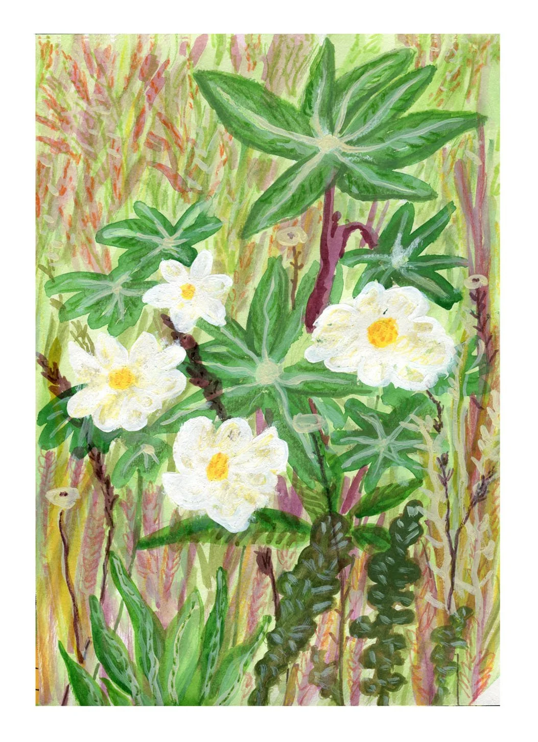 3 daisies 1_132.jpg