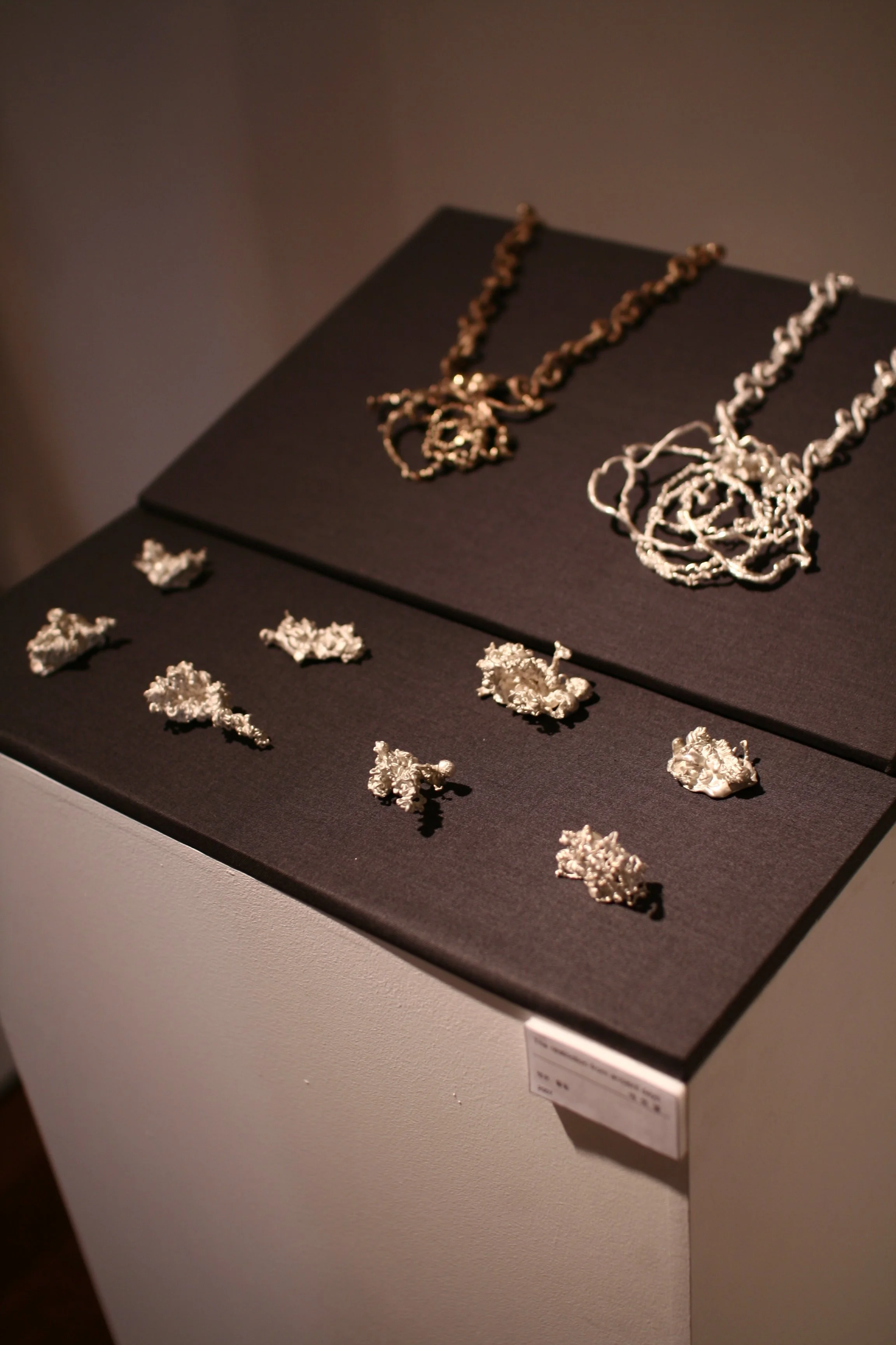 ancient shackles.JPG