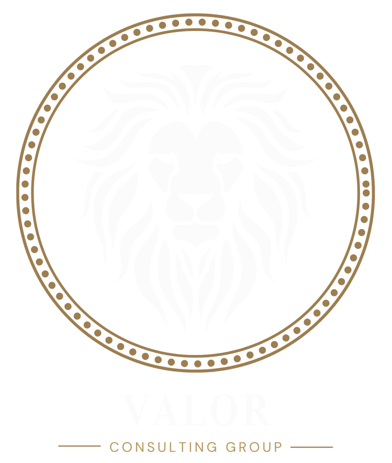 Valor Consulting Group