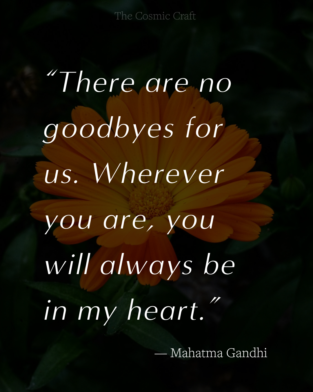 Pet loss quote: “There are no goodbyes for us. Wherever you are, you will always be in my heart.” — Mahatma Gandhi