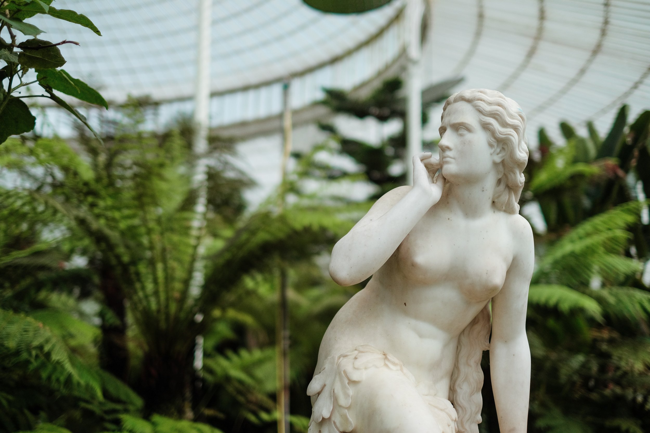 Exploring Your Heart's Desires: The Influence of Venus in Your Birth Chart
