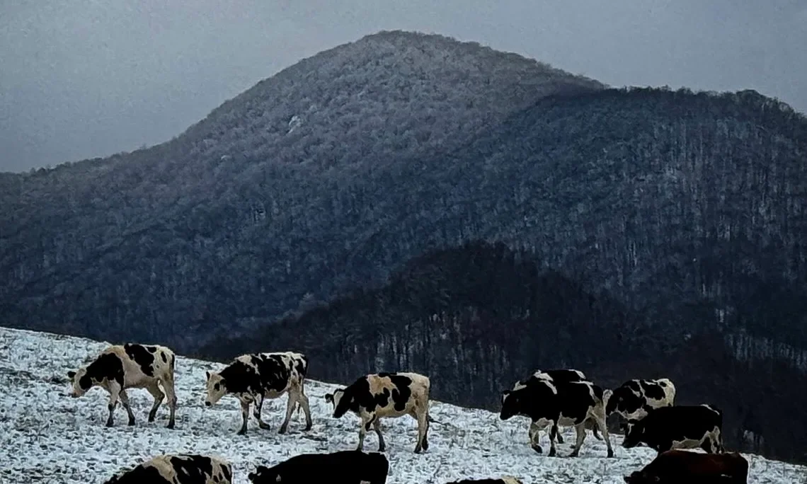 Leaning into the seasonal shifts, learning to embrace the cold, and how to inspire more comfort in your life (even among the darkness)