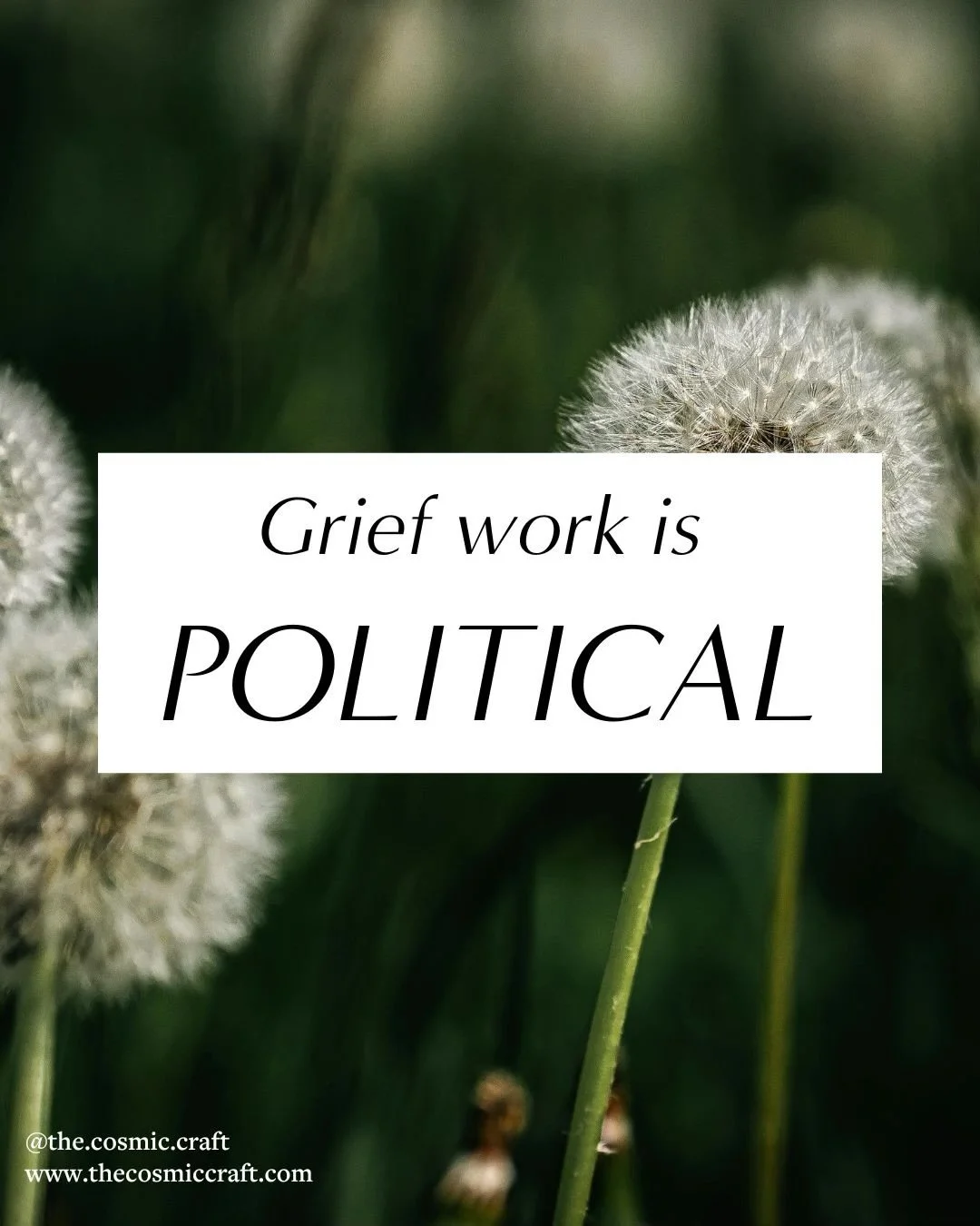 Yes, I want this space to reflect the parts of life that are slower, more intentional, and more kind. 
However, it needs to be said what kind of practitioner I am. My ancestors didn&rsquo;t come here on Ellis Island for me to stay quiet. My voice has