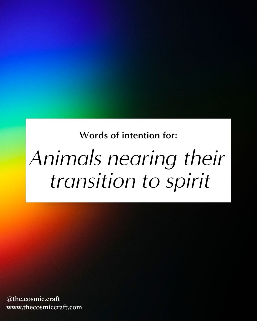 Intentions for pets nearing the sacred threshold. 

You can say these all at once, or choose the slide that holds your heart best. 

Our animal companions truly feel the love during this time of their life. It&rsquo;s important that they hear that th