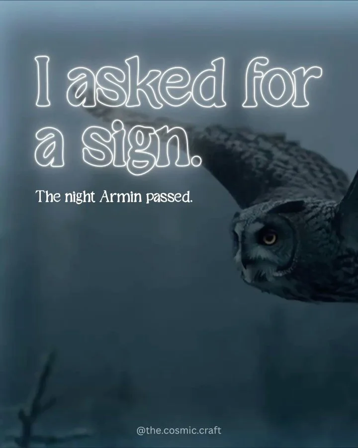 The night Armin, my darling maincoon cat passed, I asked for a sign.

I needed to know he made it. That he was okay. That what we had (15 years of a bond I believe crossed multiple lifetimes) didn&rsquo;t just end. I wanted to know that he made it co