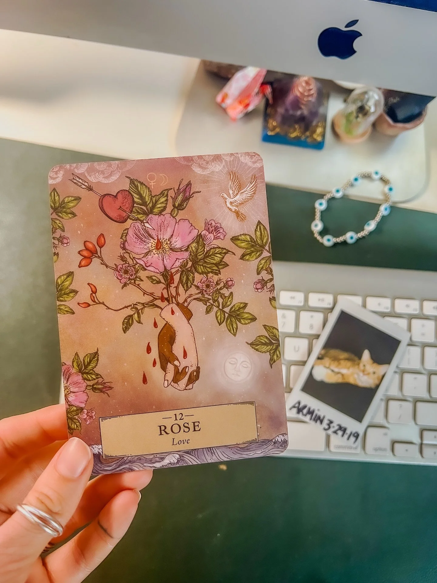 Today was the FIRST ever Still Waters livestream 🌟💛✨💧🐸

I feel so honored that I get you carve out space and intention to honor the love we have and hold for our darling ones. 

Sitting with pet loss is something that makes my Saturnian soul feel