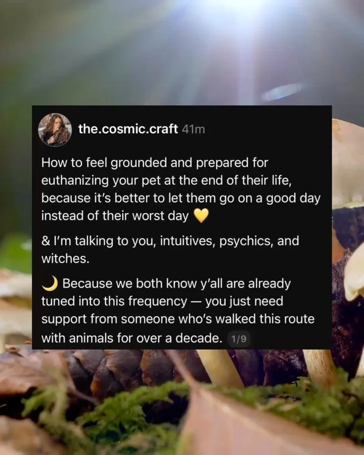 I&rsquo;m a pet grief guide who has over a decade of experience working in veterinary medicine, animal advocacy, and pet rescue and I can count on my hands how many times I&rsquo;ve known about animals passing away naturally at home *peacefully*. 

I