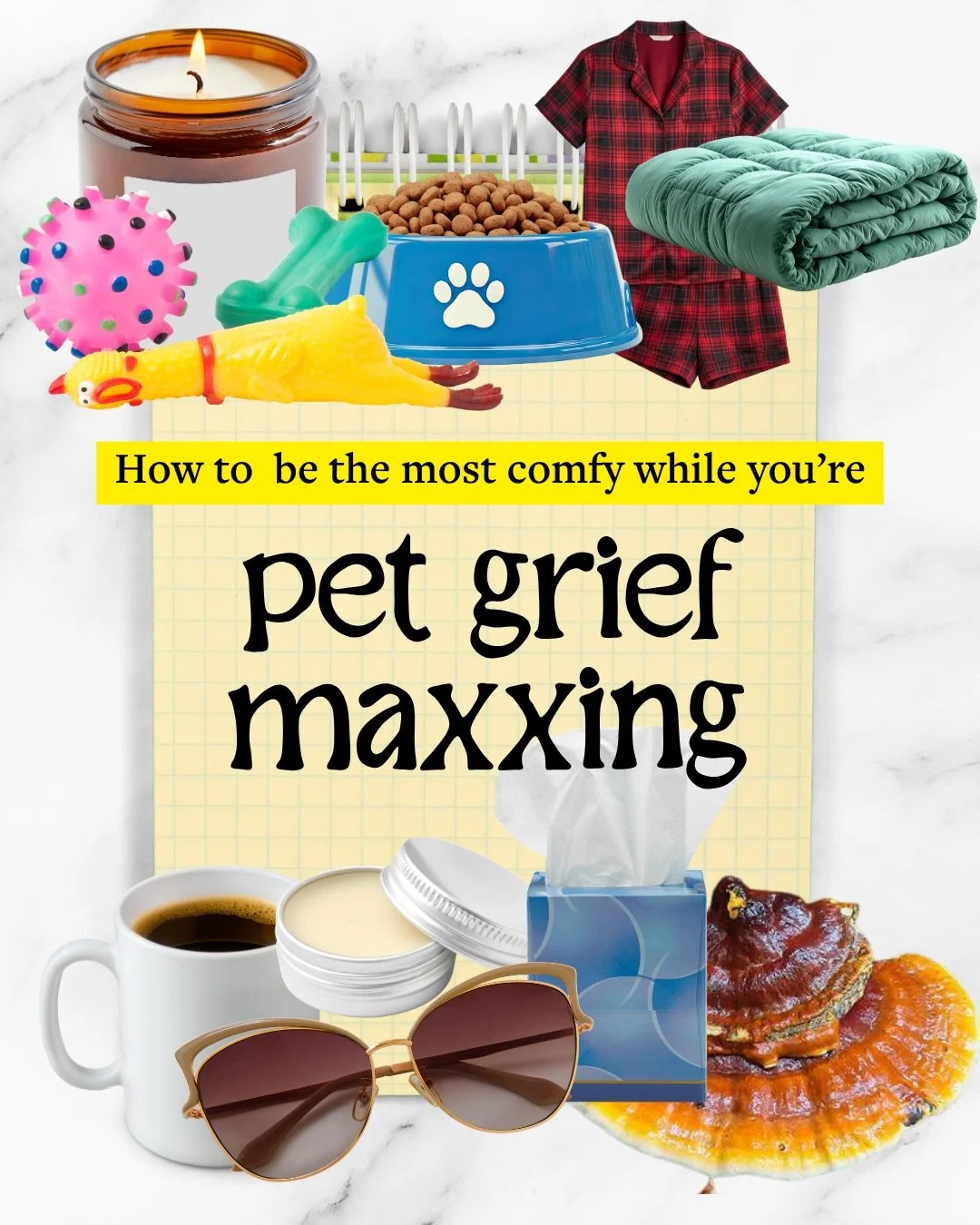 You don&rsquo;t know how tough pet grief is actually going to be until you&rsquo;re dry heaving in an empty house after their last appointment. 

Slide 8 felt the silliest to explain, but it honestly helped me feel more like myself in a time when I b
