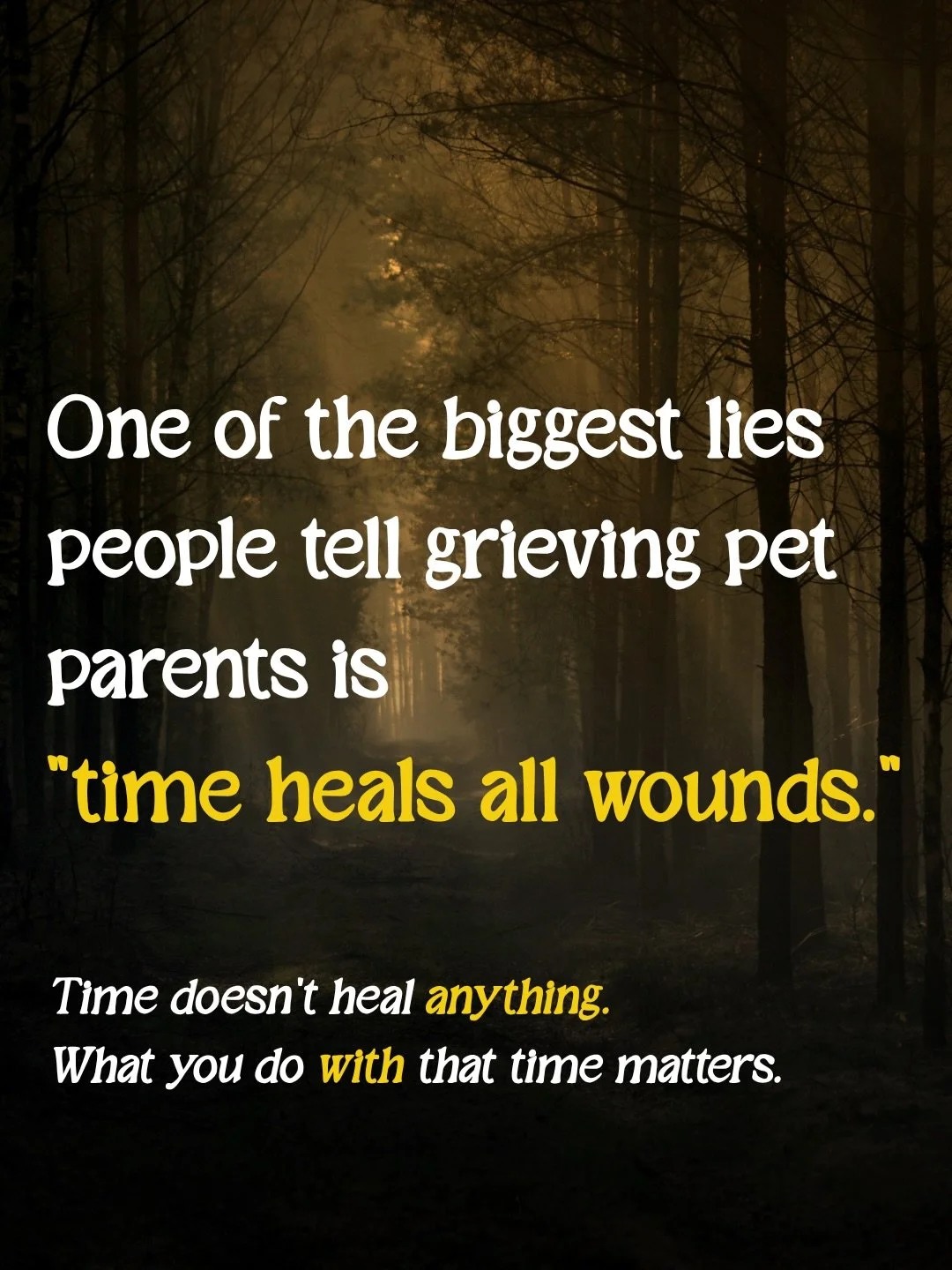 One of the biggest lies we hear as grieving pet parents? &ldquo;Time heals all wounds.&rdquo; 🤦&zwj;♀️ 

Let&rsquo;s be real: time doesn&rsquo;t heal anything. It&rsquo;s what you do with that time that matters&hellip;

After losing my beloved cat, 