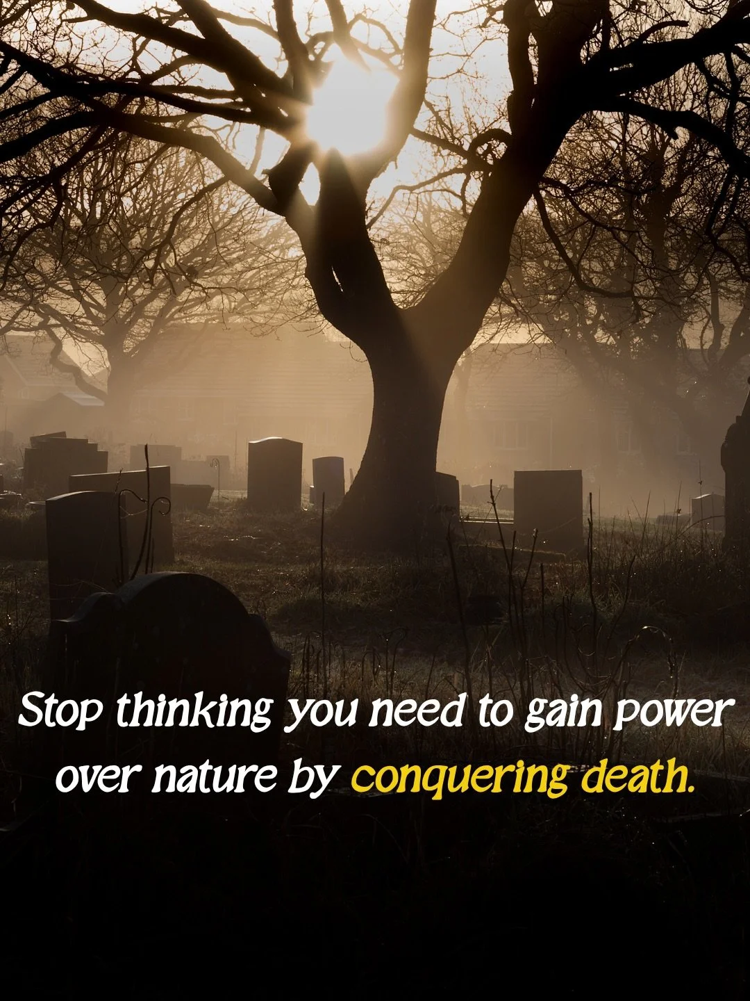 The number one underlying issue clients have with death, anticipatory grief, and mourning of their pets is the lack of control. 

But what happens when we start to shift the power dynamic?🦋