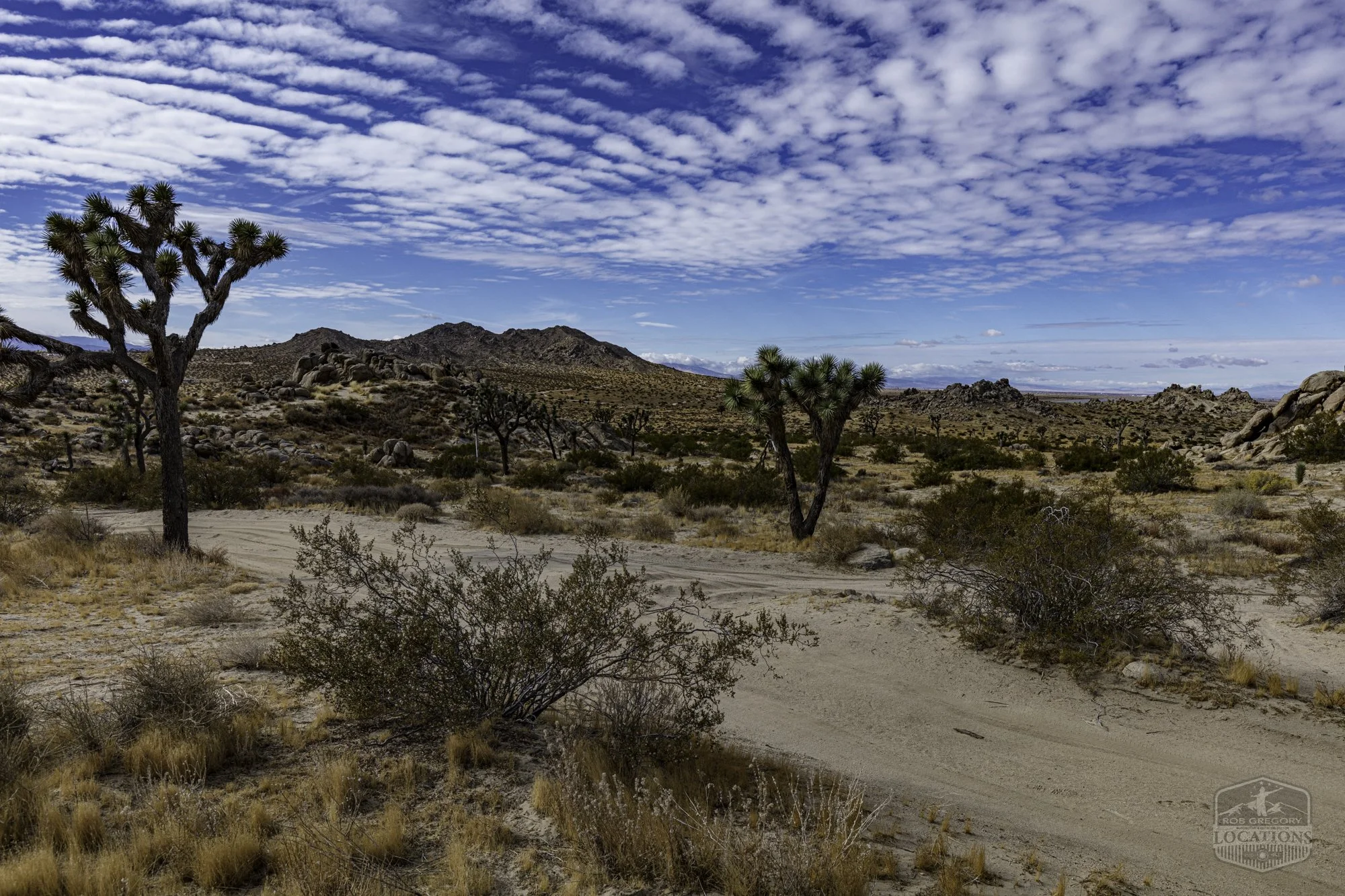 Rocky Buttes - Lancaster - 112424 -030.jpg