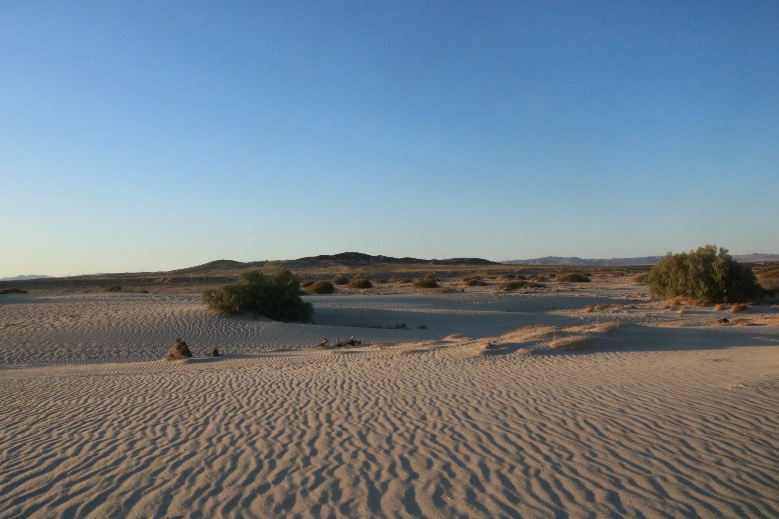 Newberry Dunes - File