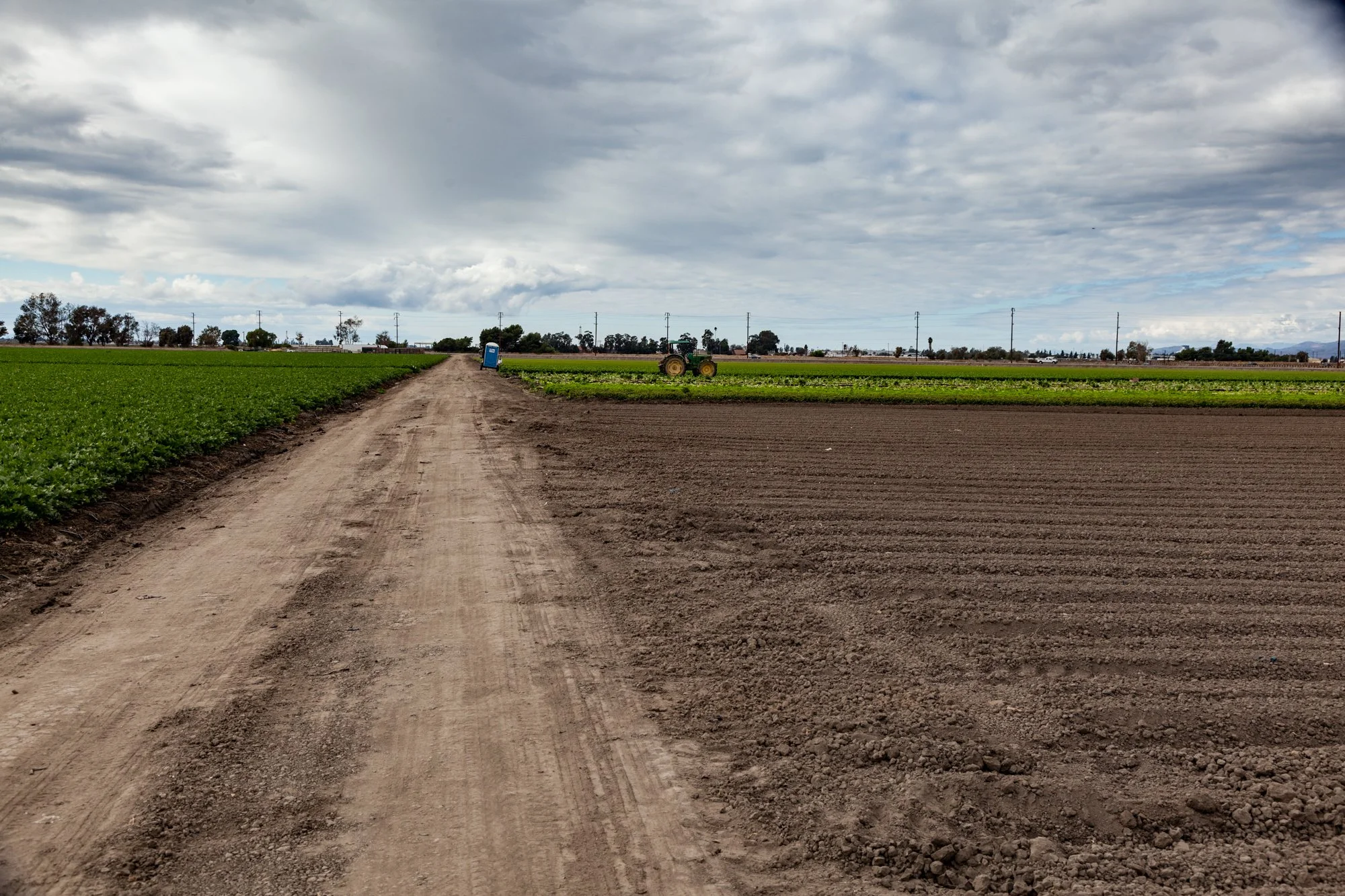 Farm- Uesugi Farms - Camarillo - 72.jpg