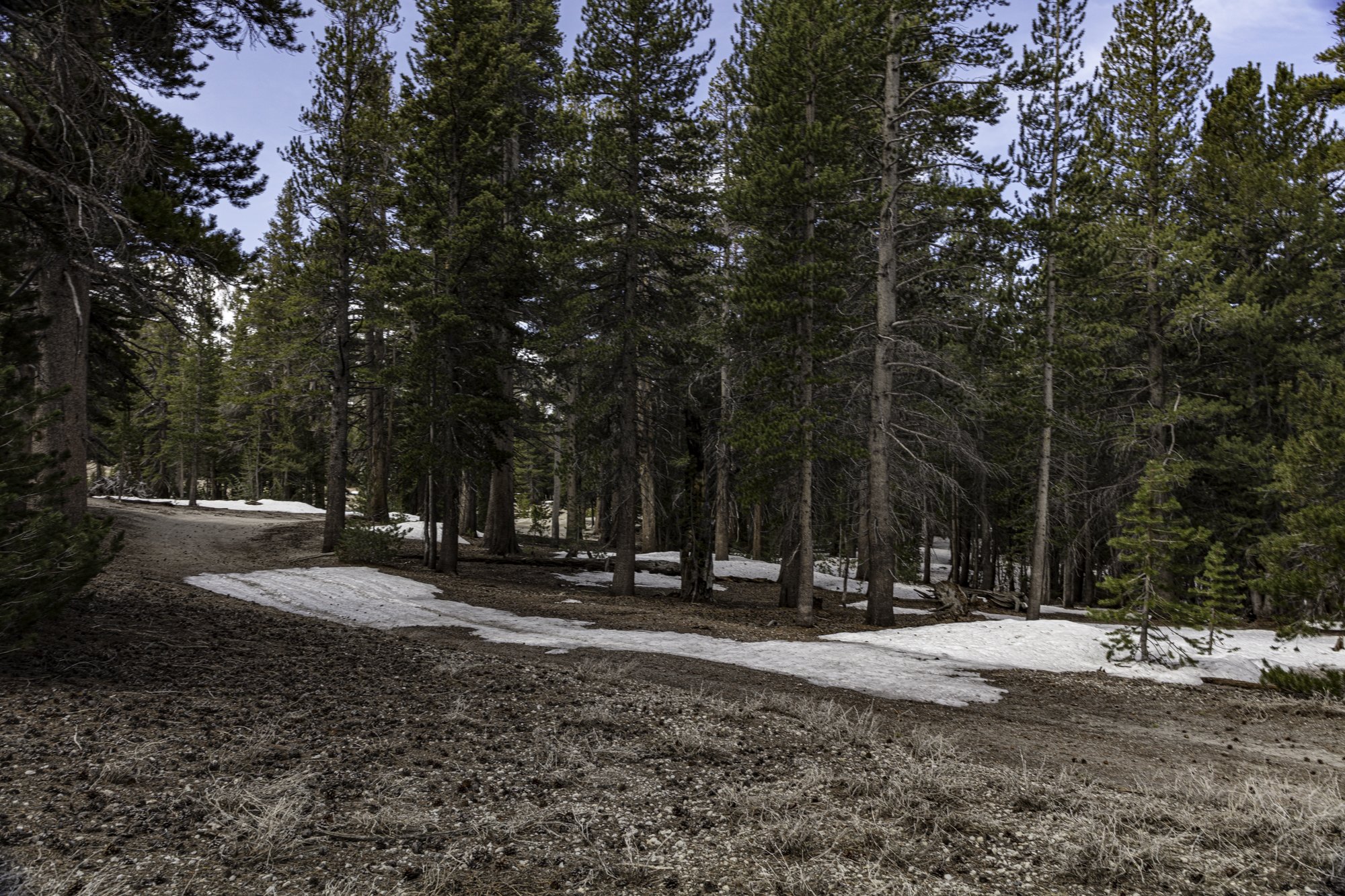 June Mtn - Narrow Maint Rd - June Lake- -14.jpg