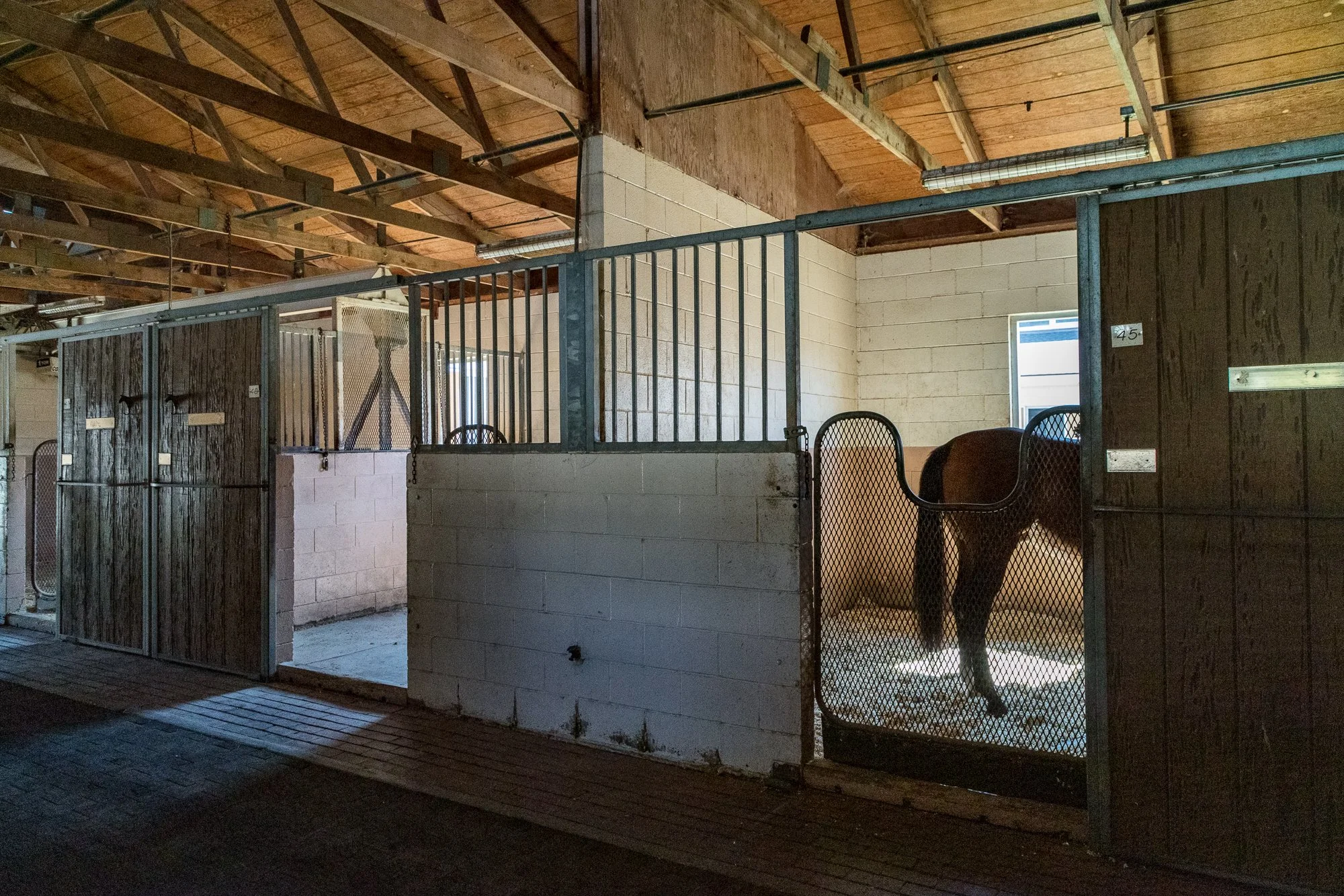 Ventura Farms - Arabian Center -4.jpg