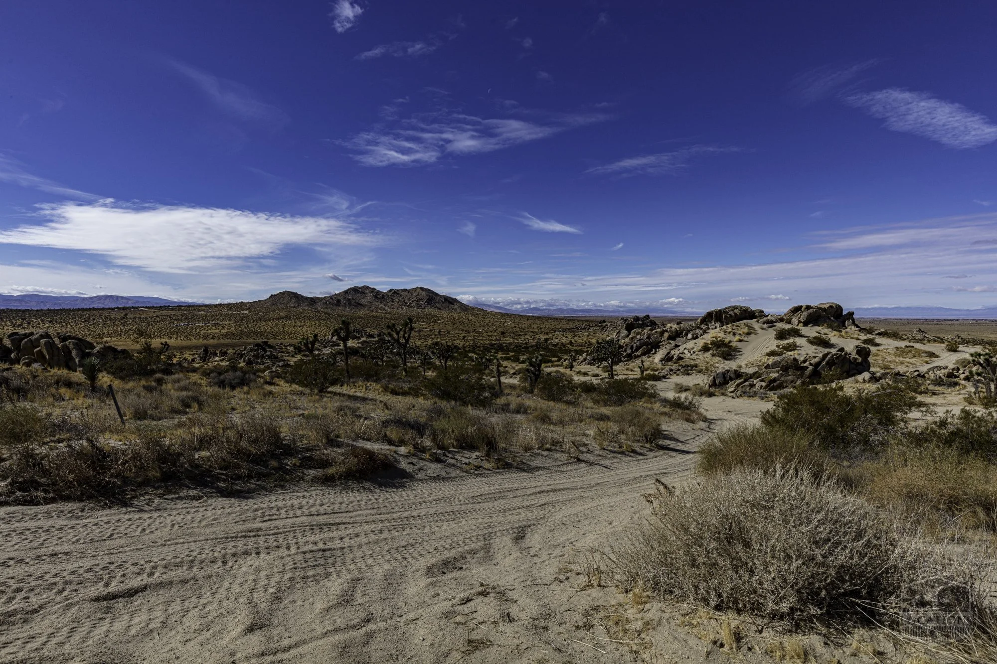 Rocky Buttes - Lancaster - 112424 -040.jpg