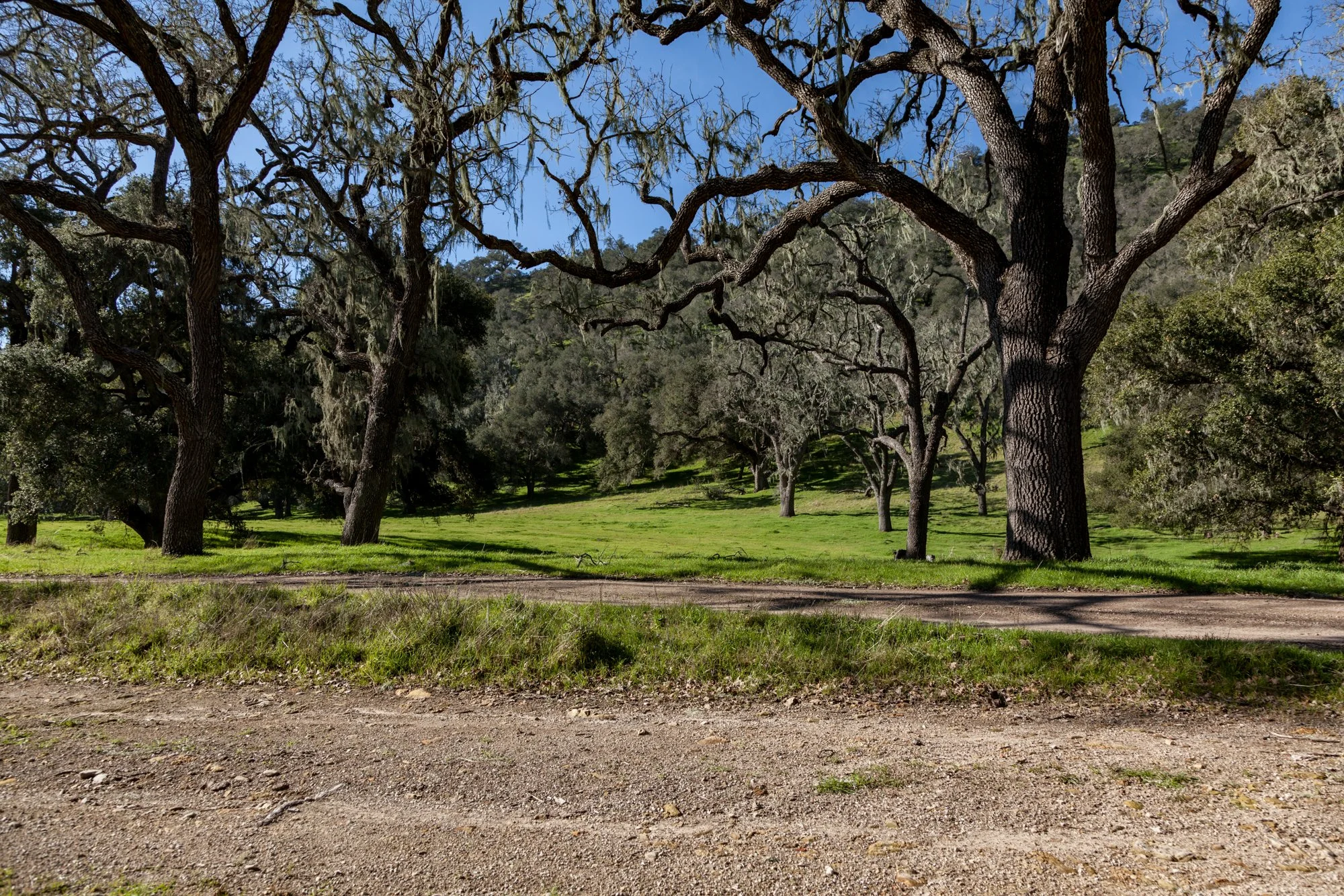 Rnch- Porter Ranch - Santa Maria - 32.jpg