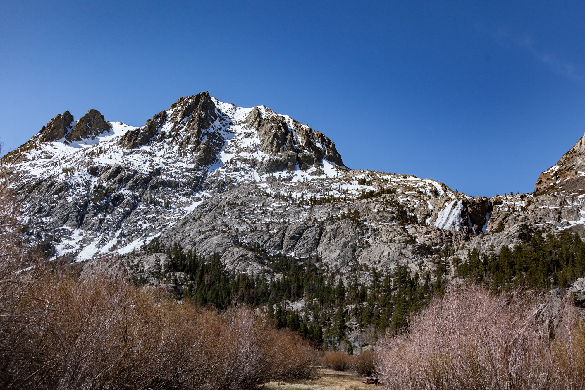 Ntr- Blacks Pond & Meadow - June Lake -2.jpg