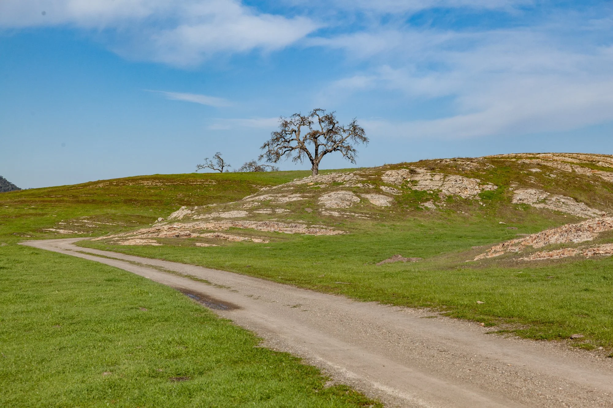 Rnch- Porter Ranch - Santa Maria - 17.jpg