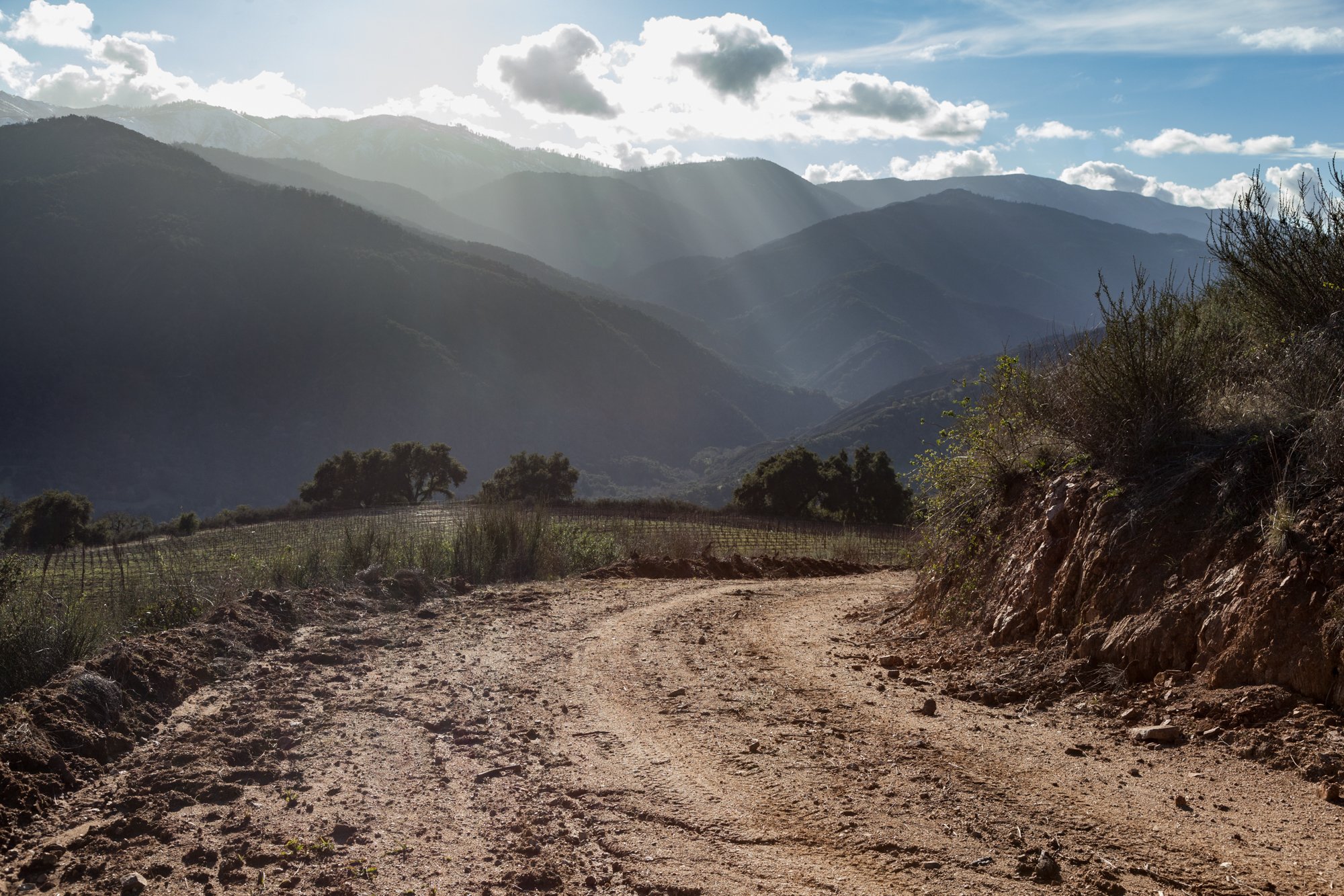 Rnch- Galante Ranch & Vineyards - Carmel Valley - 34.jpg