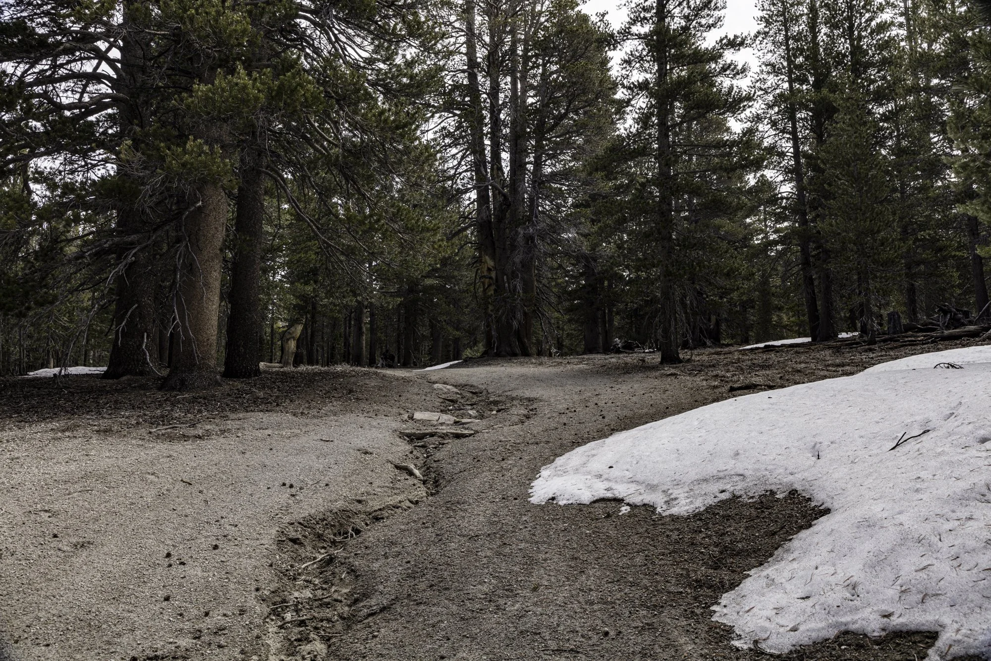 June Mtn - Narrow Maint Rd - June Lake- -1.jpg