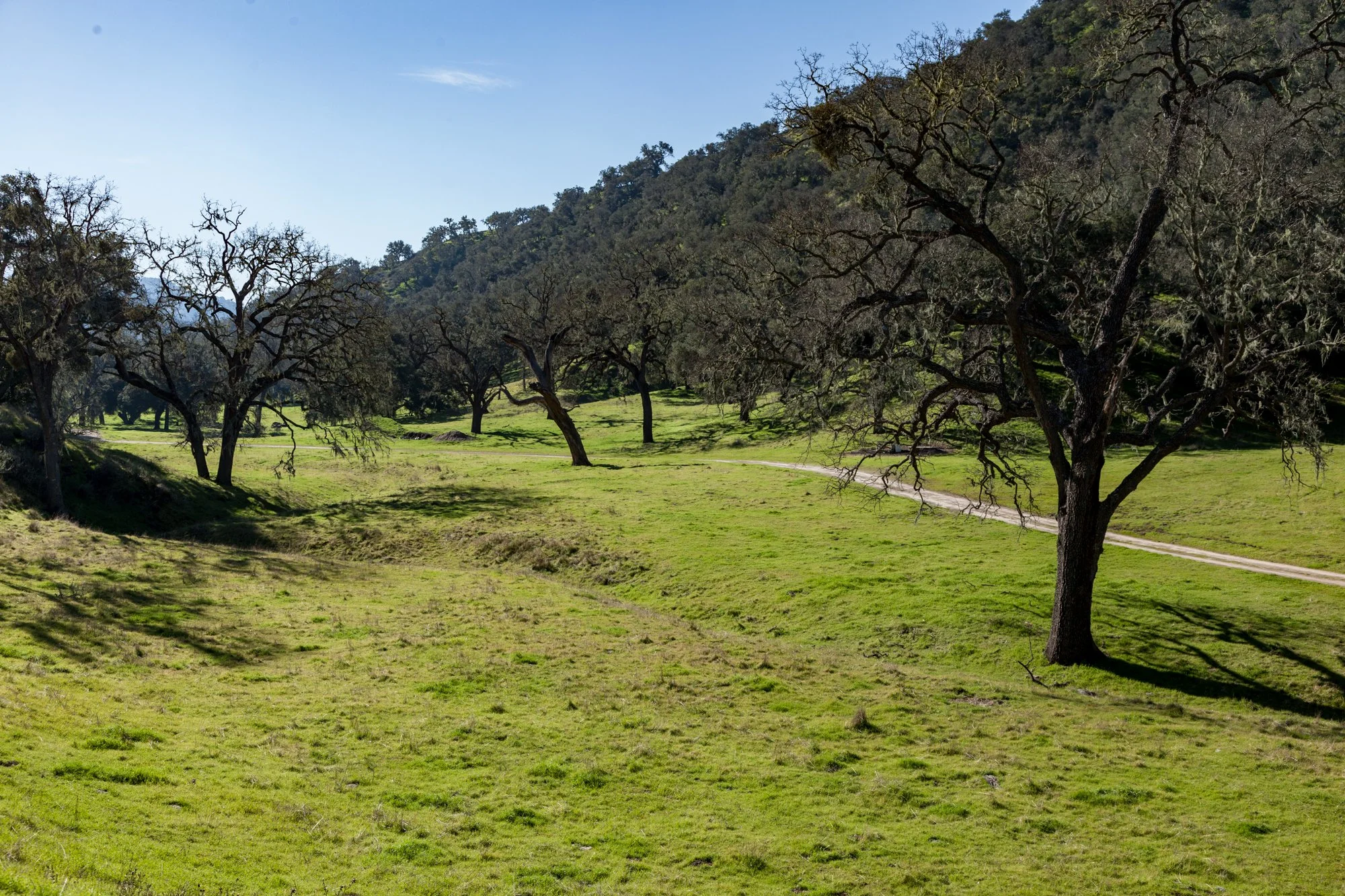 Rnch- Porter Ranch - Santa Maria - 42.jpg