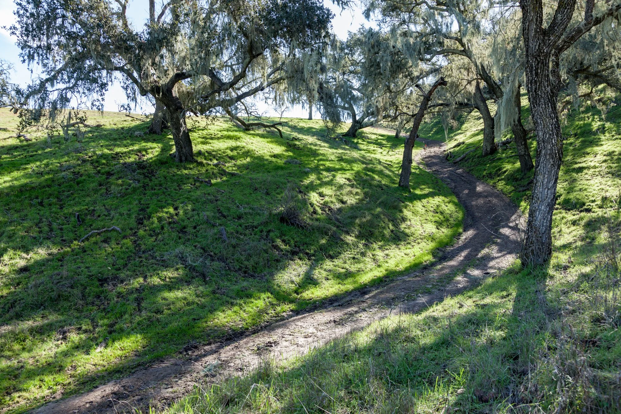 Rnch- Porter Ranch - Santa Maria - 58.jpg