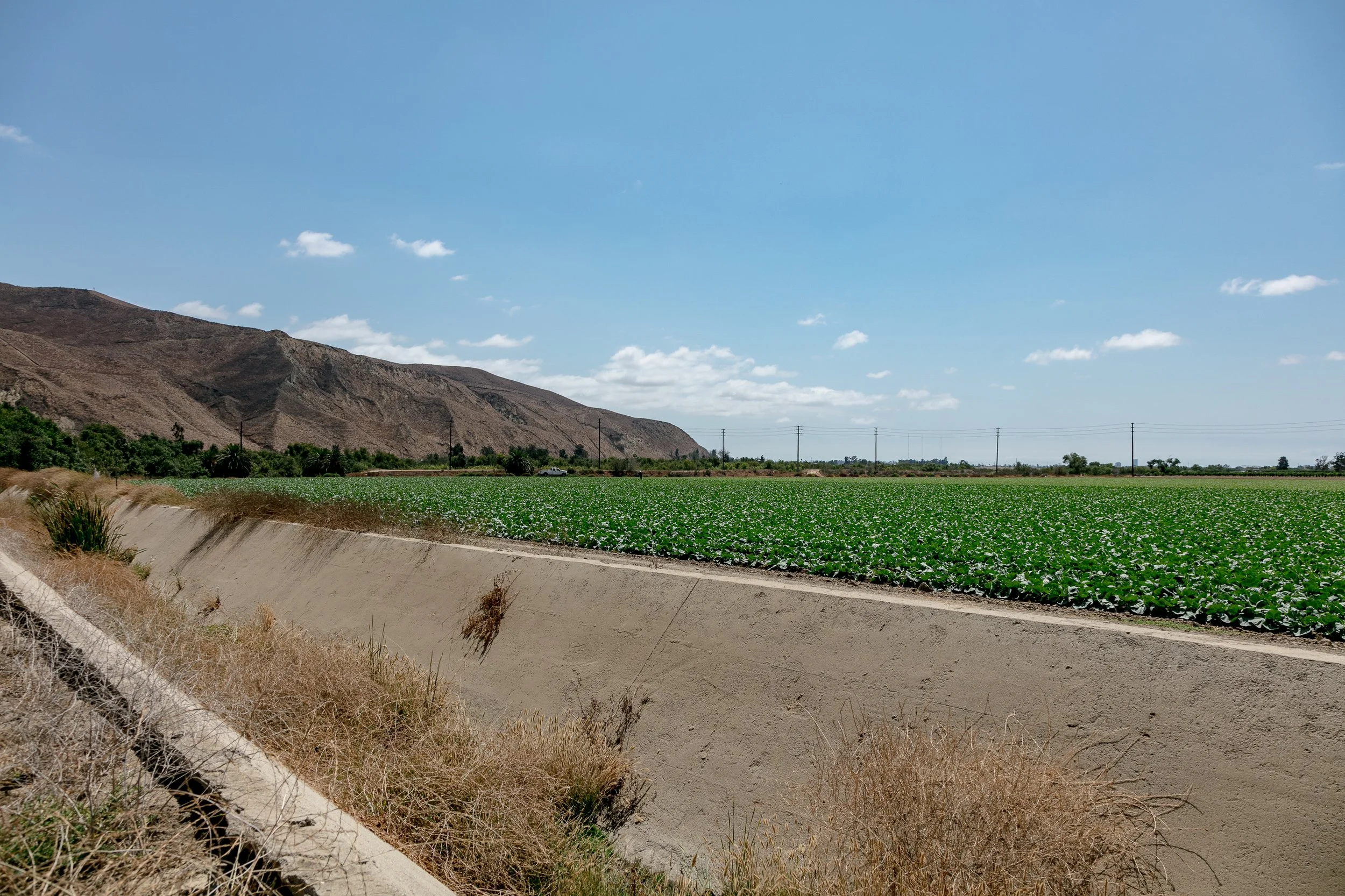 Limoneira Farms - Santa Paula -92.jpg