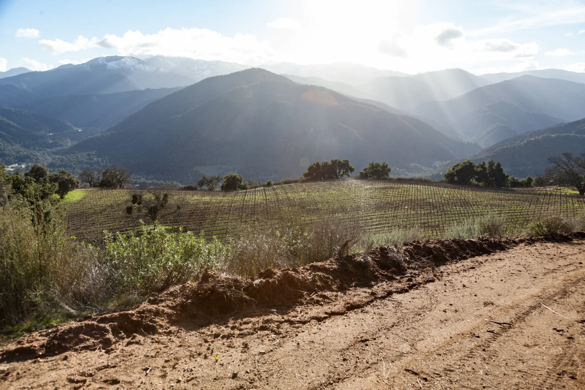 Rnch- Galante Ranch & Vineyards - Carmel Valley - 37.jpg