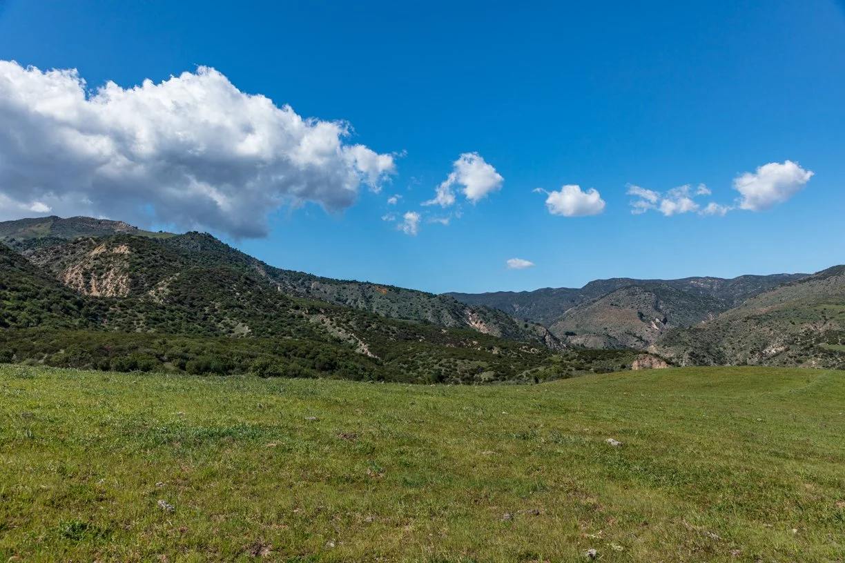 Rancho Temescal - Upper Plot 155 - Piru -12.jpg